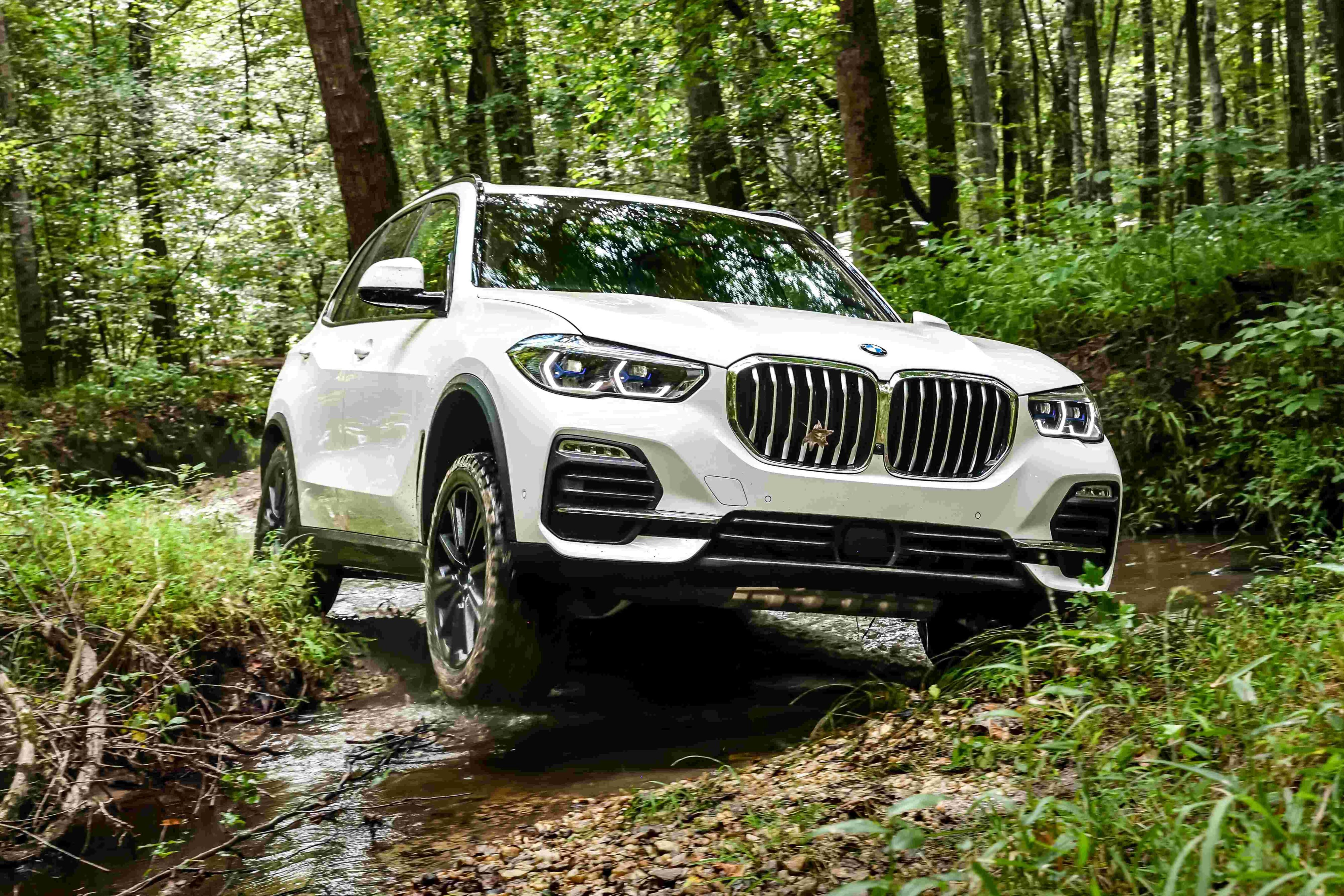 BMW X5 NZ