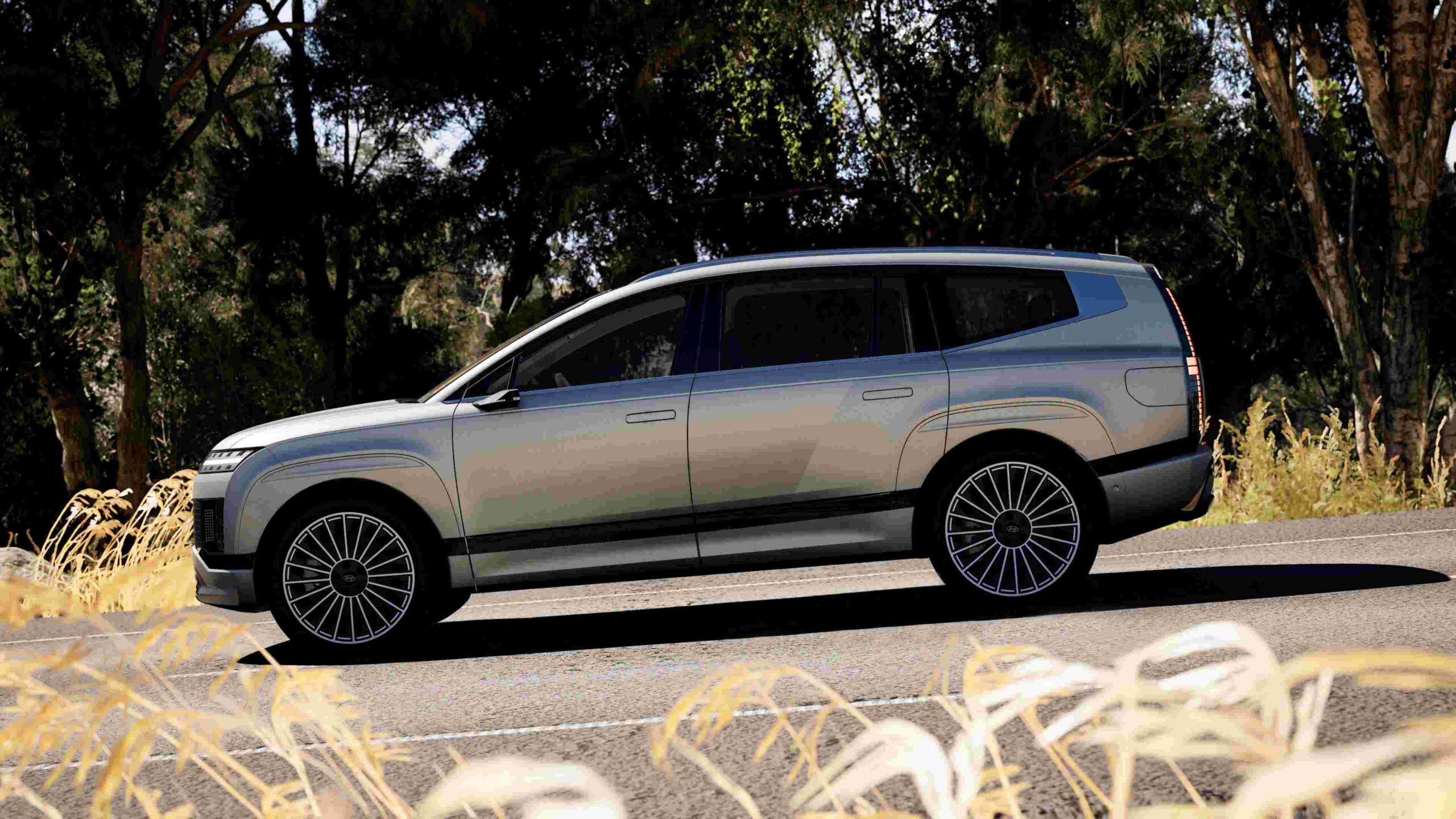 Hyundai Ioniq 9 NZ