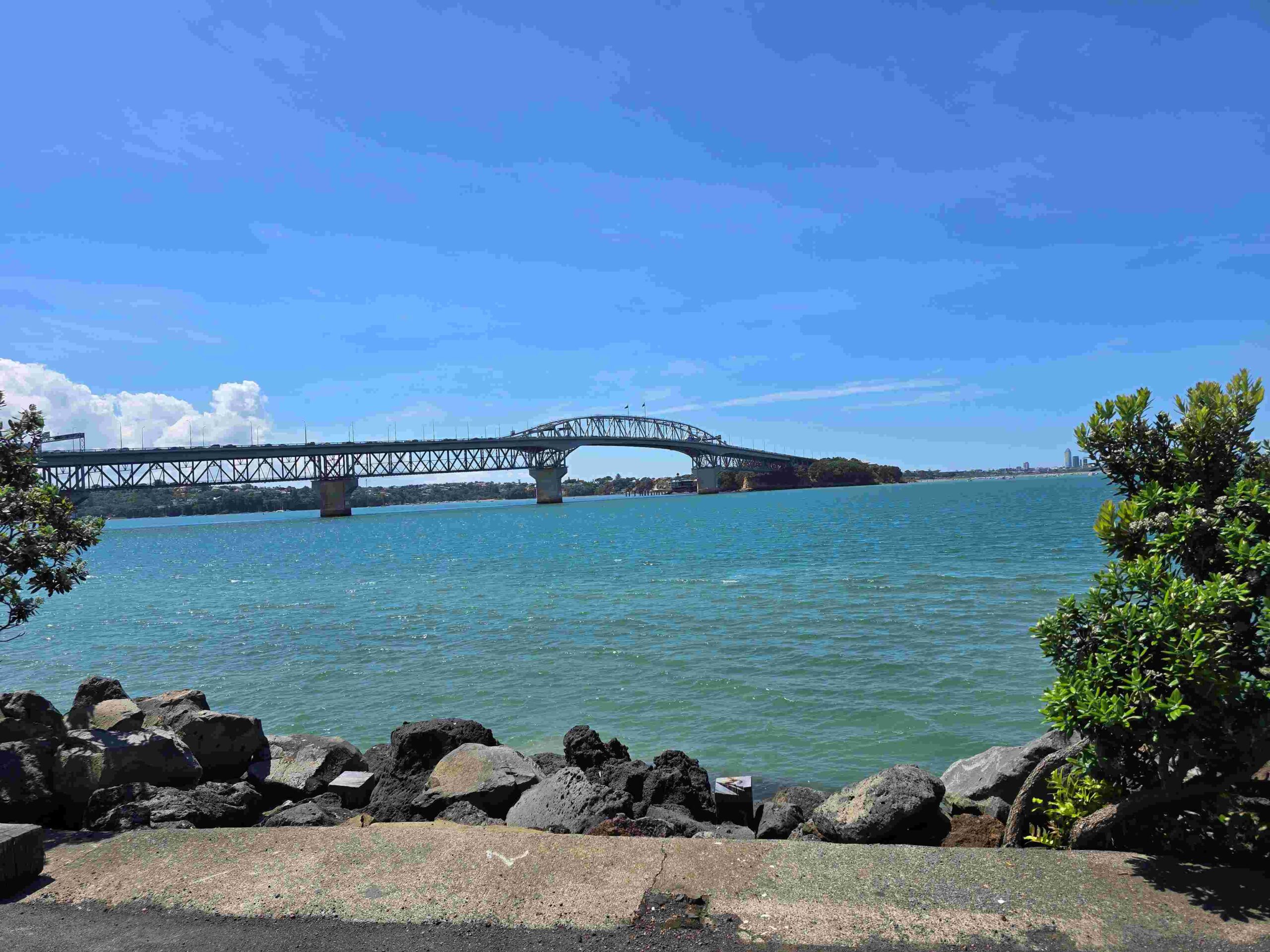 Toyota NZ sustainability report 2024