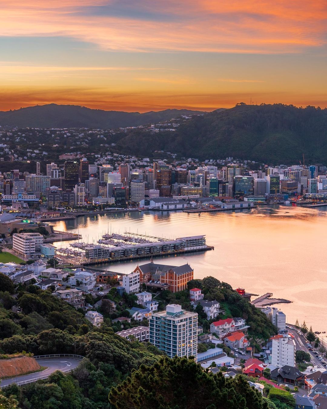 The Ultimate North Island Road Trip - Starting in Auckland