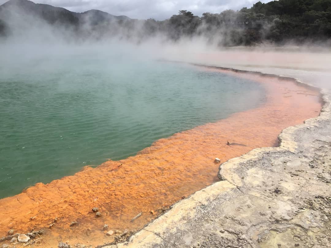 The Ultimate North Island Road Trip - Starting in Auckland