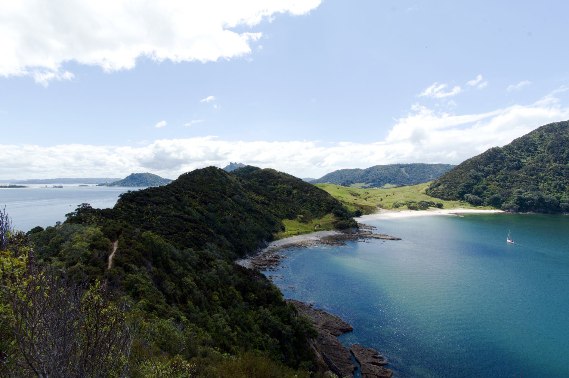 The Ultimate North Island Road Trip - Starting in Auckland
