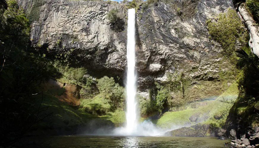 The Ultimate North Island Road Trip - Starting in Auckland