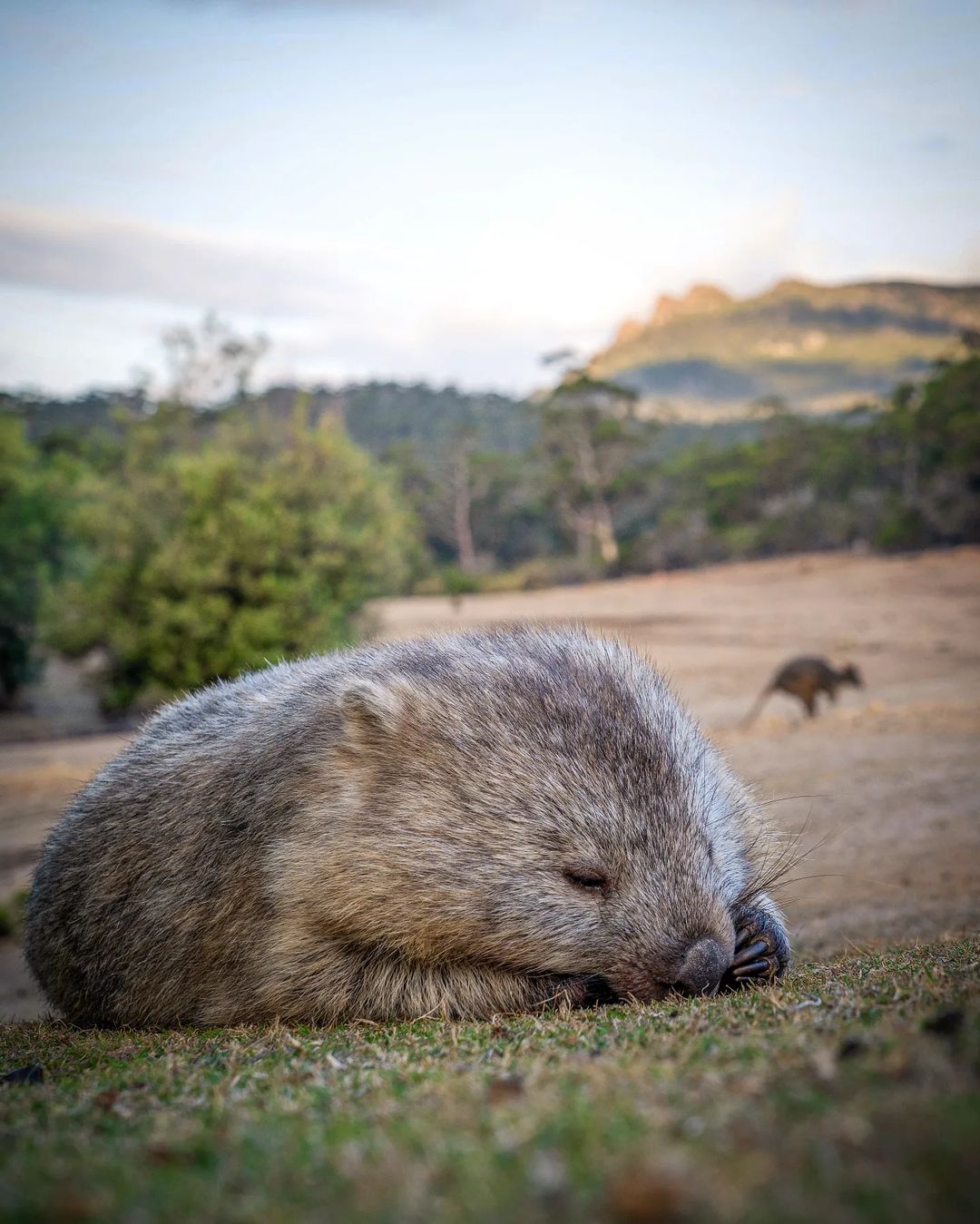 Destination Tasmania