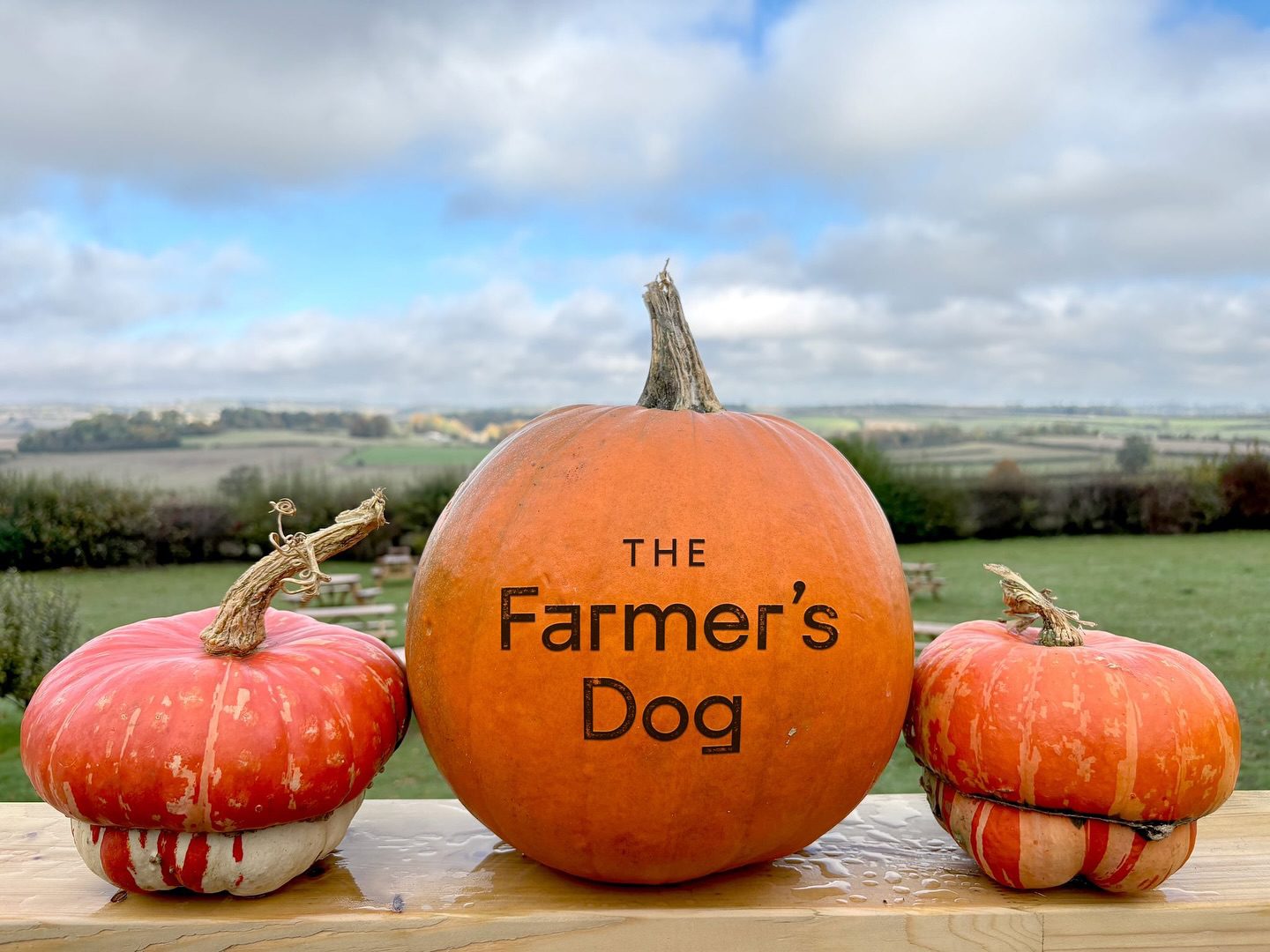Jeremy Clarkson's Farmer's Dog Pub