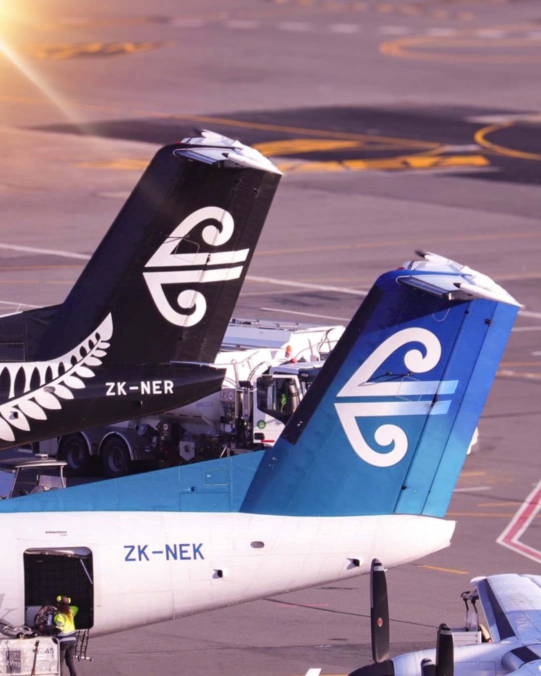 Air New Zealand Sale