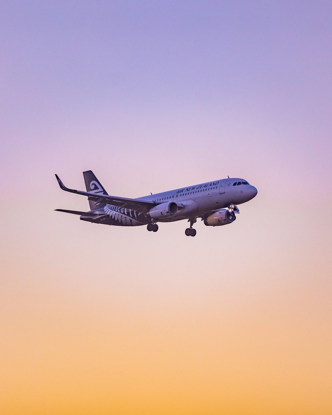 Air New Zealand Sale