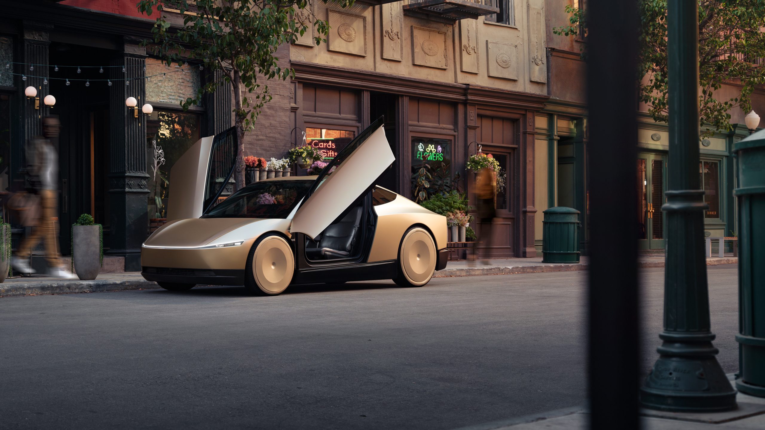 Robotaxi NZ