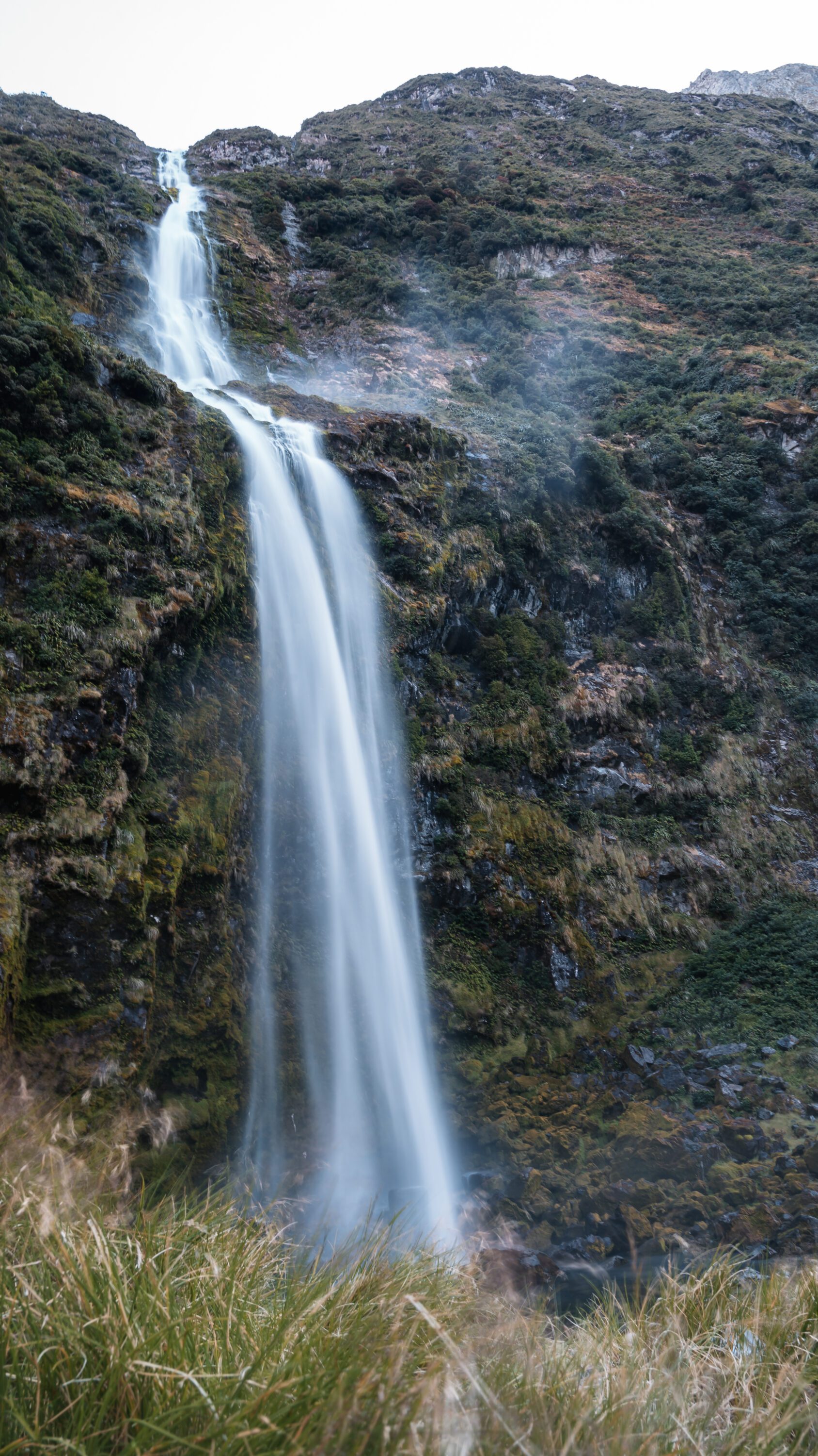 Fiordland's Finest: Four Days on the Milford Track