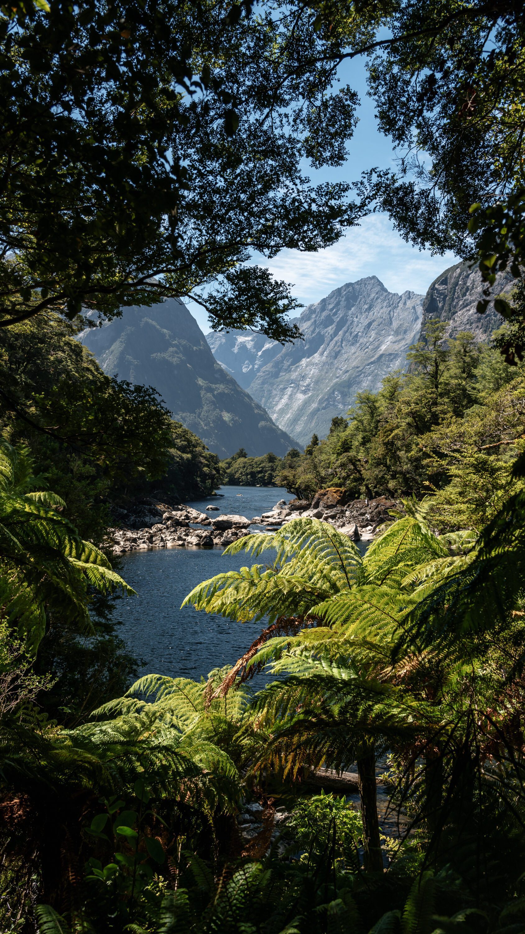 Fiordland's Finest: Four Days on the Milford Track