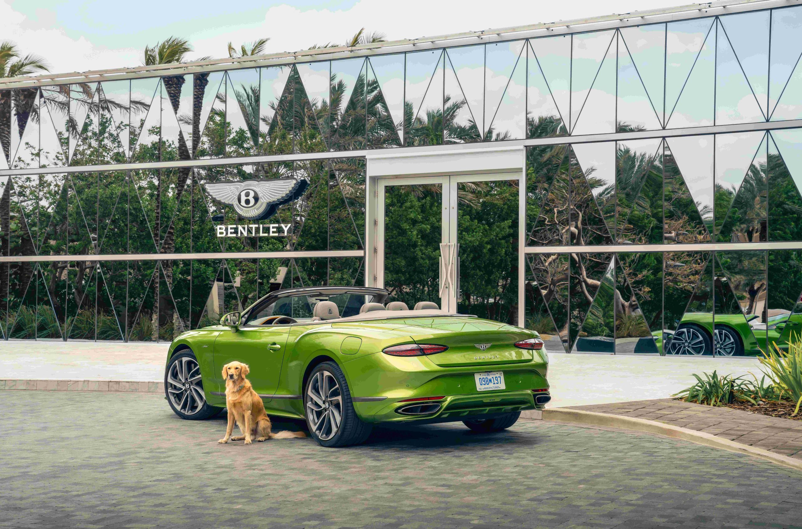 Bentley Miami Residences Pet Spa