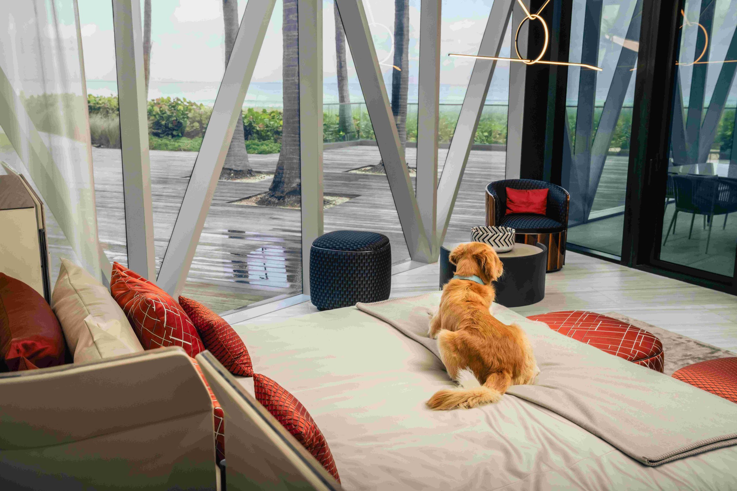 Bentley Miami Residences Pet Spa 