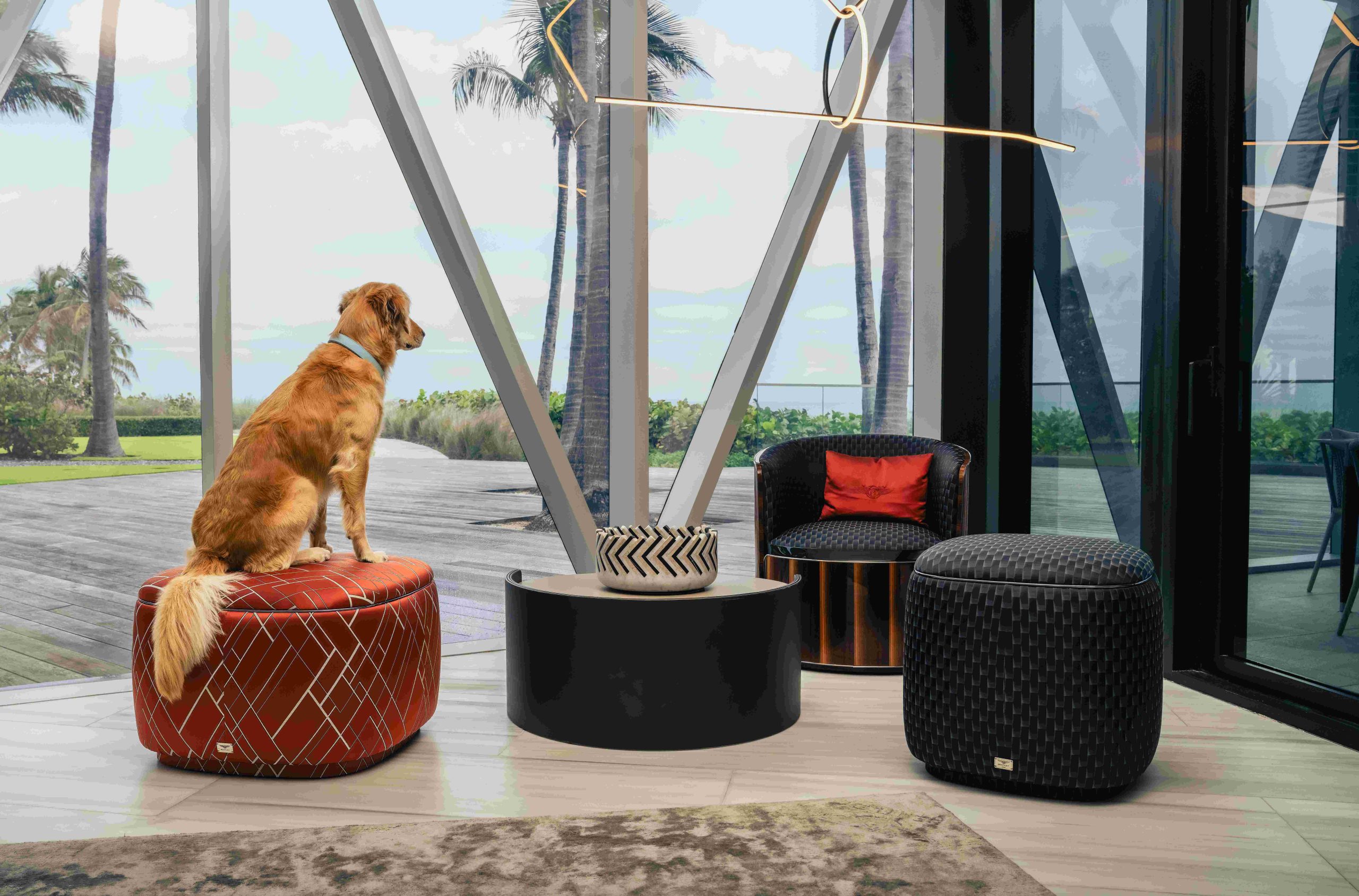 Bentley Miami Residences Pet Spa 
