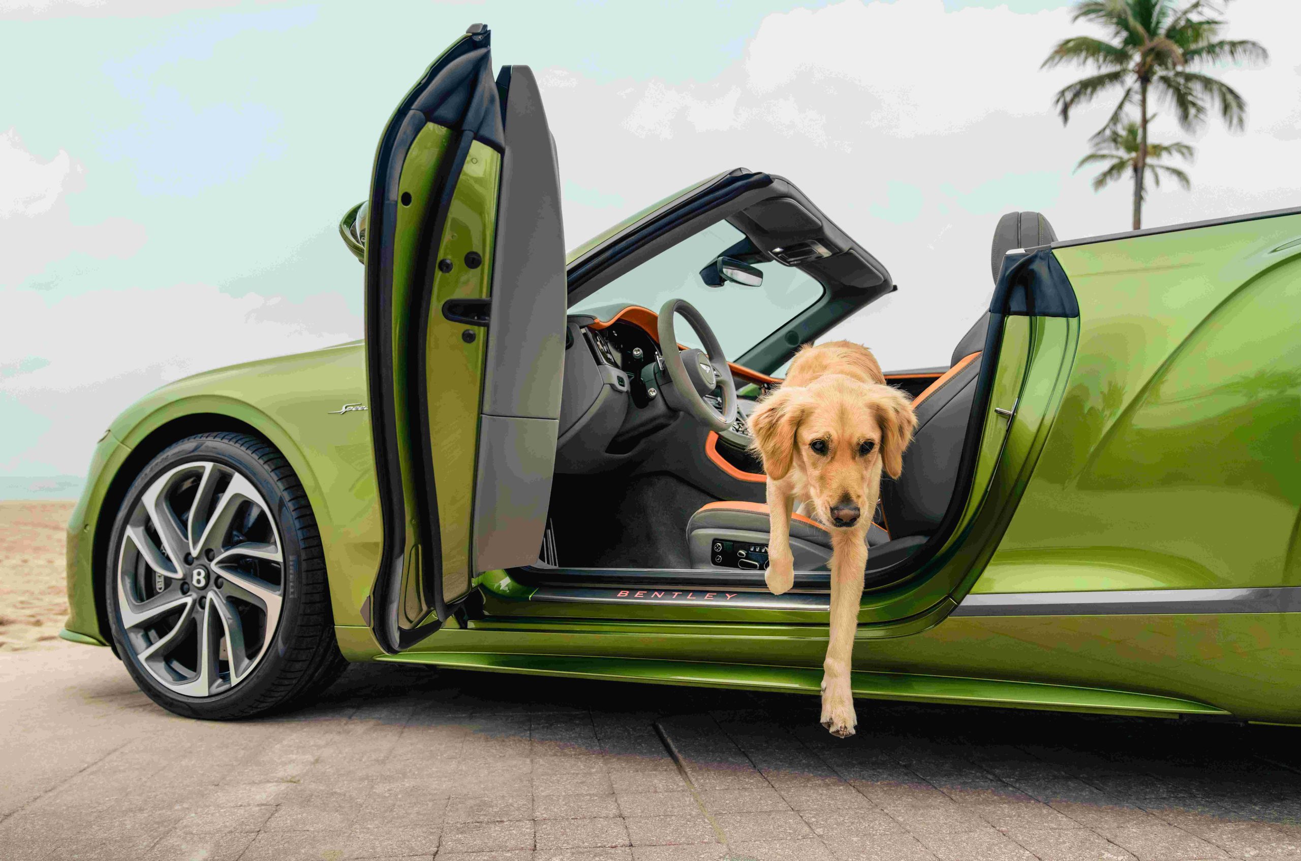 Bentley Miami Residences Pet Spa 
