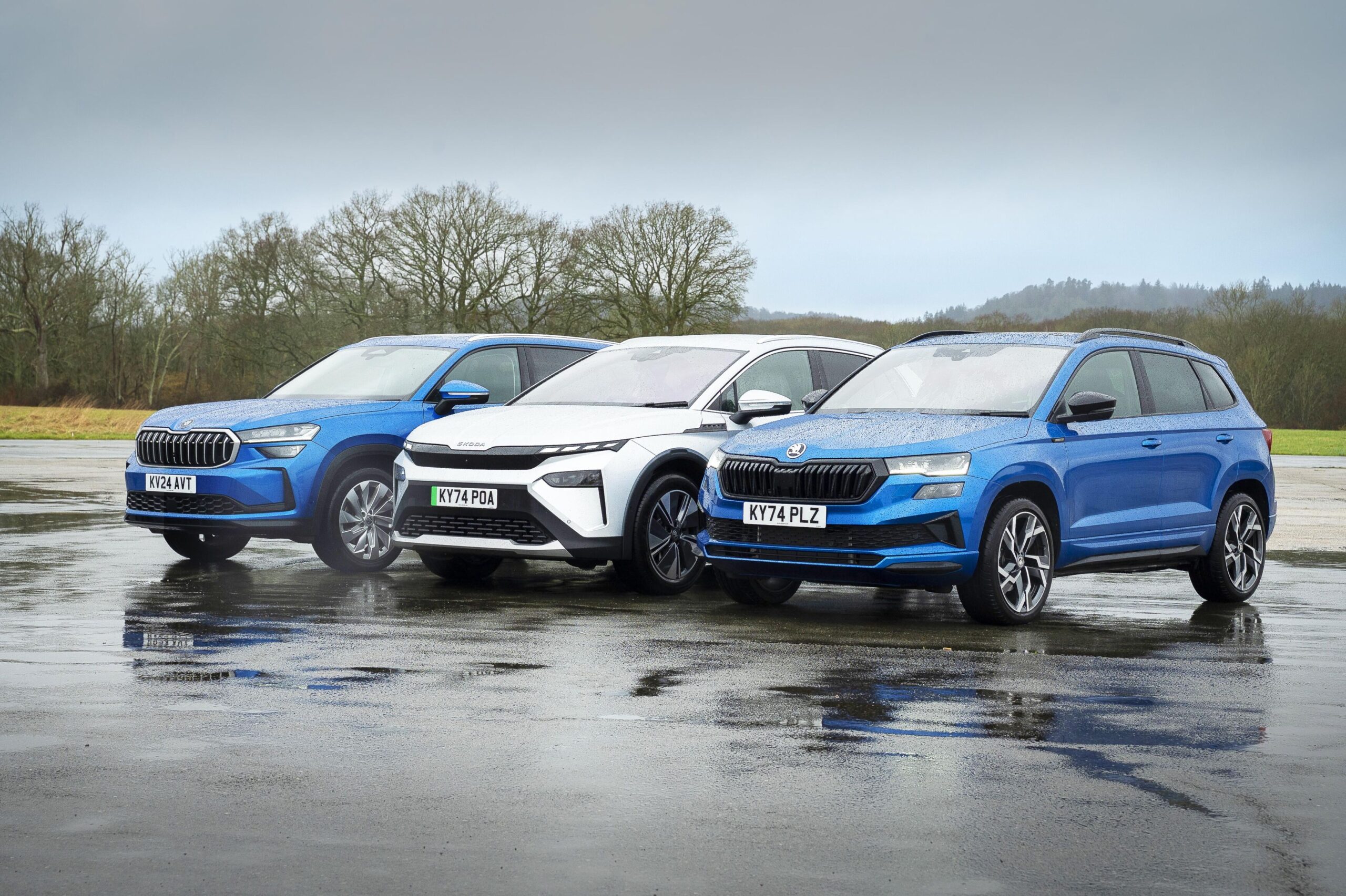 Dogs prefer EVs - Skoda