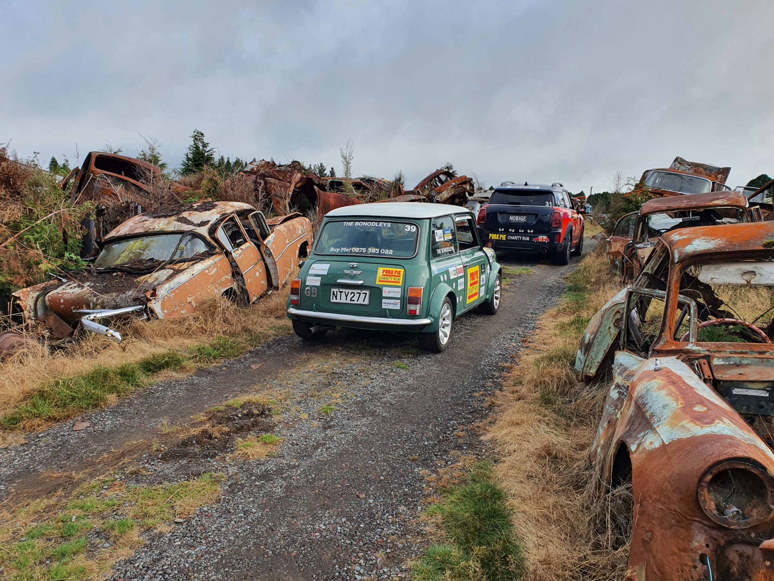 A group of Minis rolls through the grounds of Smash Palace Wreckers in Horopito as part of the 2025 Pork Pie Charity Run.