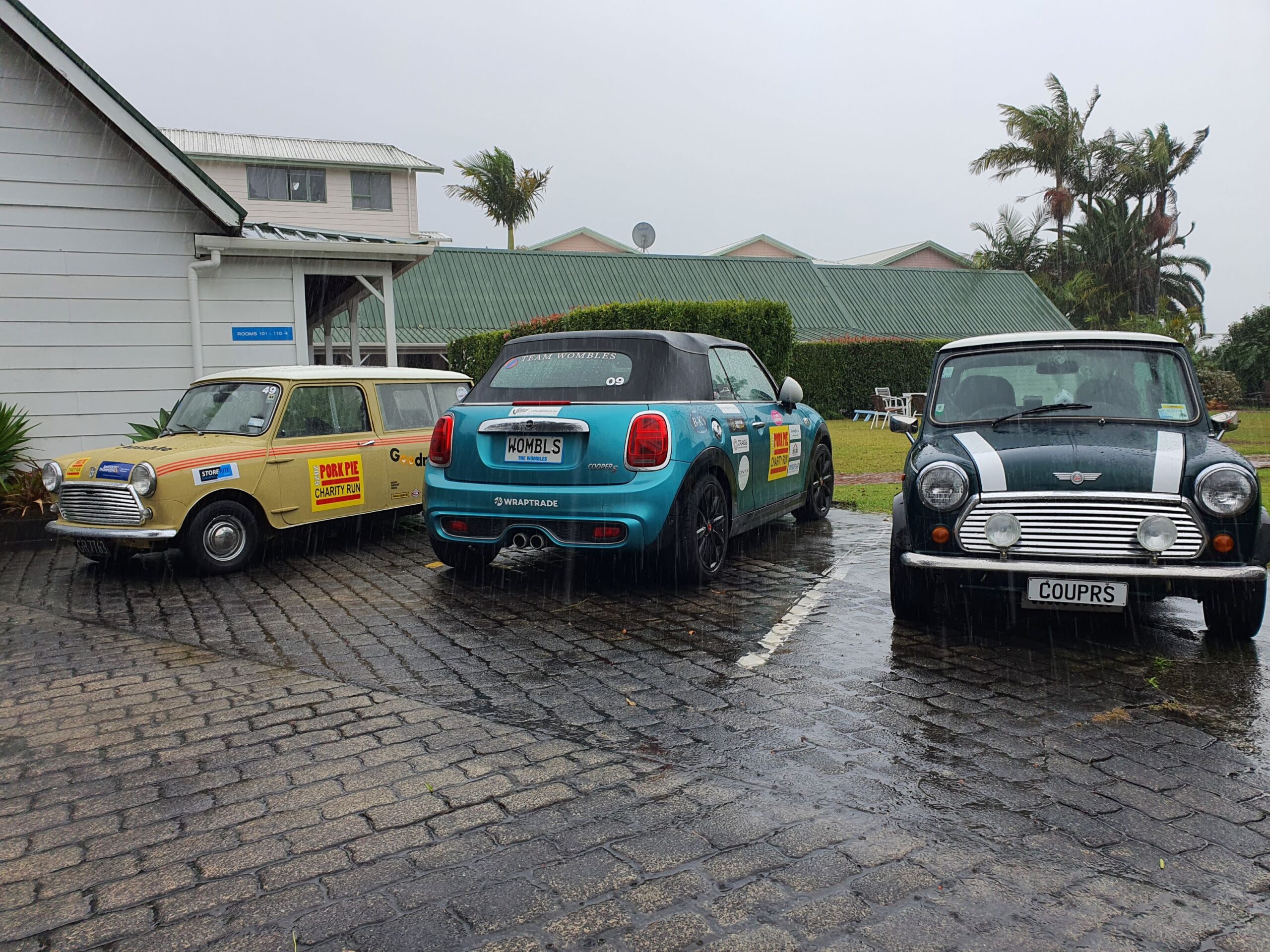 A trio of Minis gathered in Paihia for the 2025 Pork Pie Charity Run.