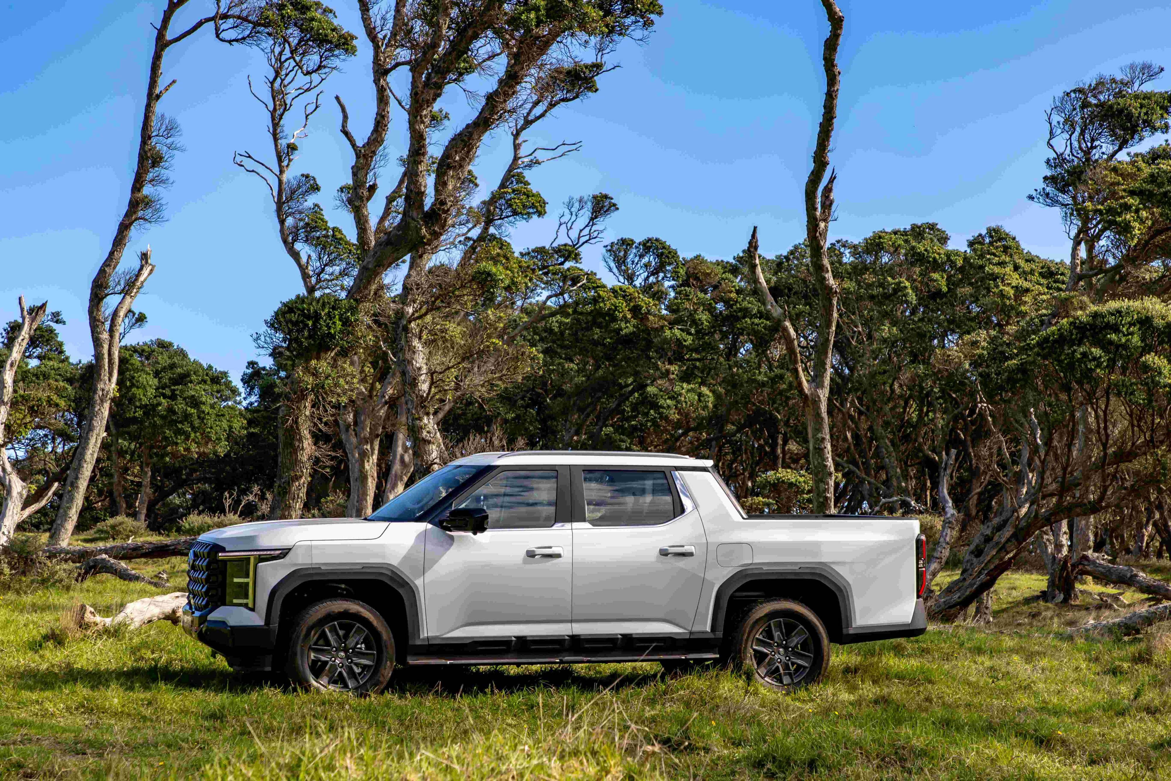 LDV to launch Terron 9 ute and maybe an all-electric version too