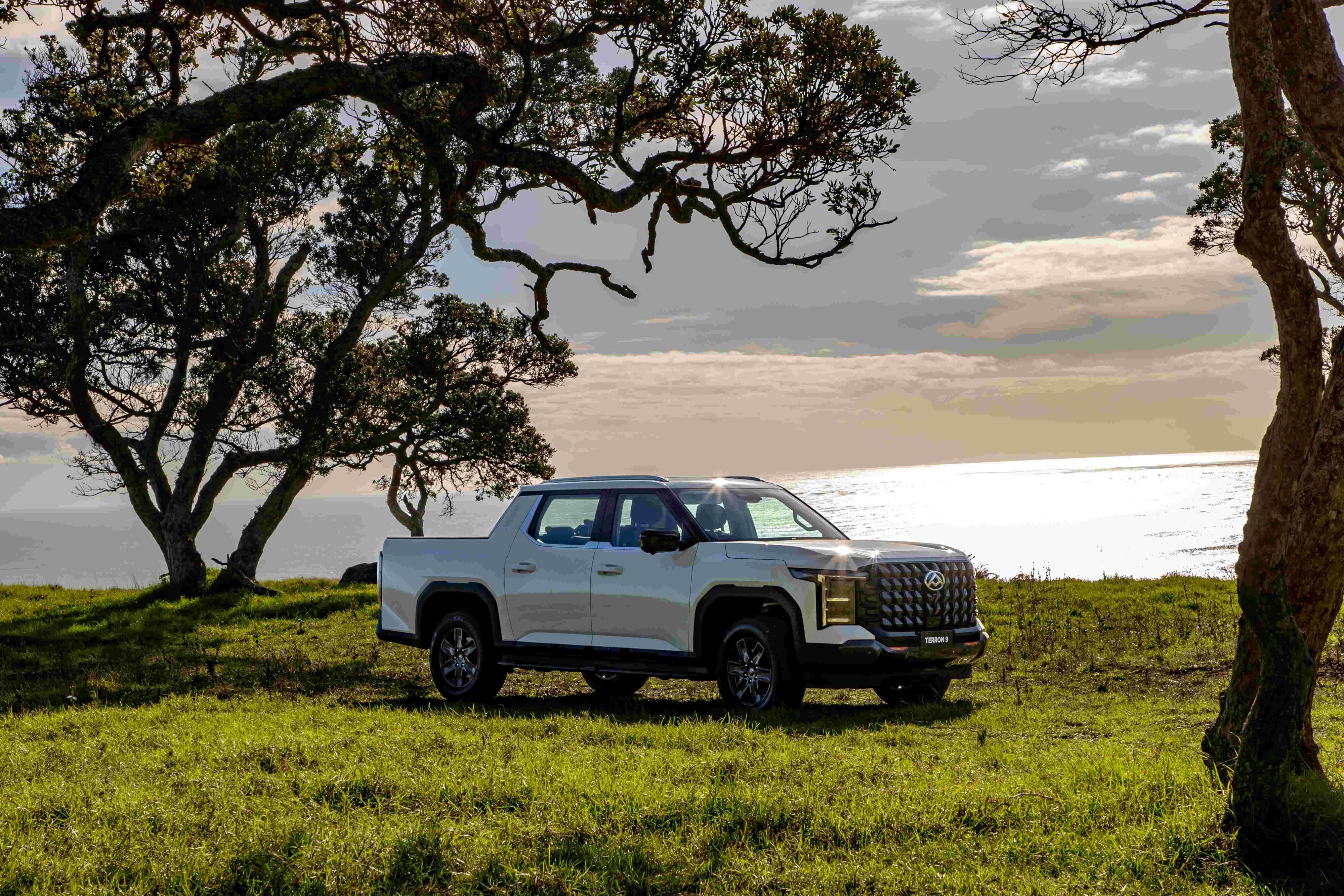 LDV to launch Terron 9 ute and maybe an all-electric version too
