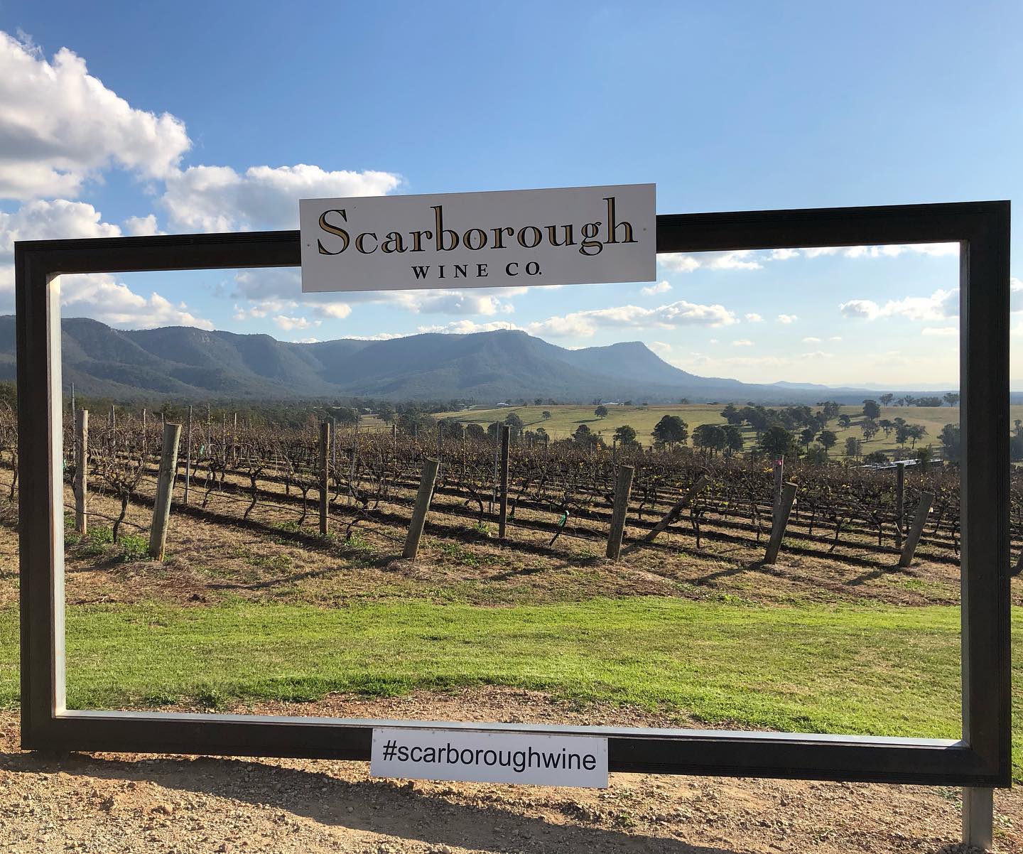 A Guide to Newcastle’s Wine Tasting Tours