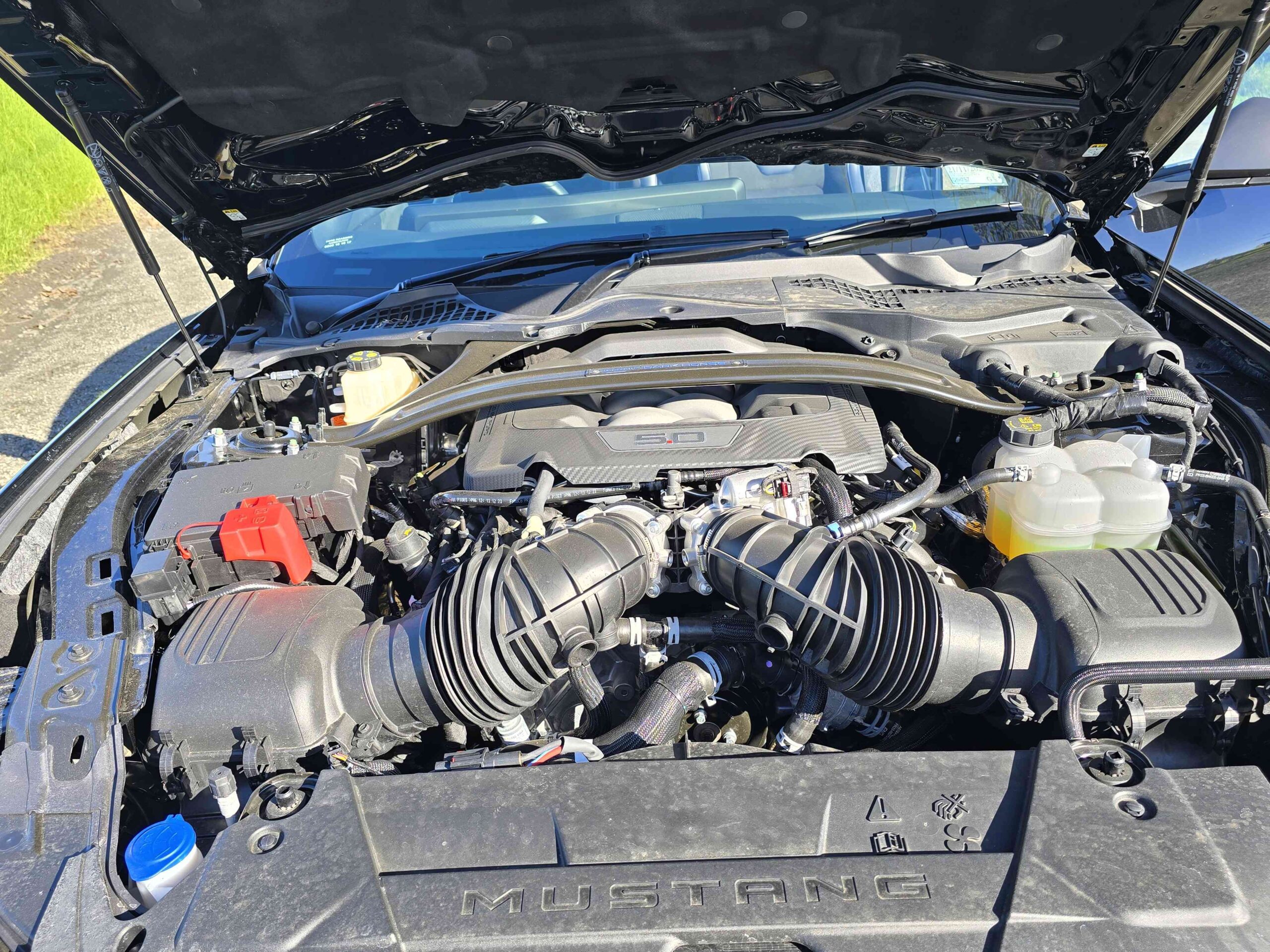 Frothing at the bit - Ford Mustang Dark Horse review