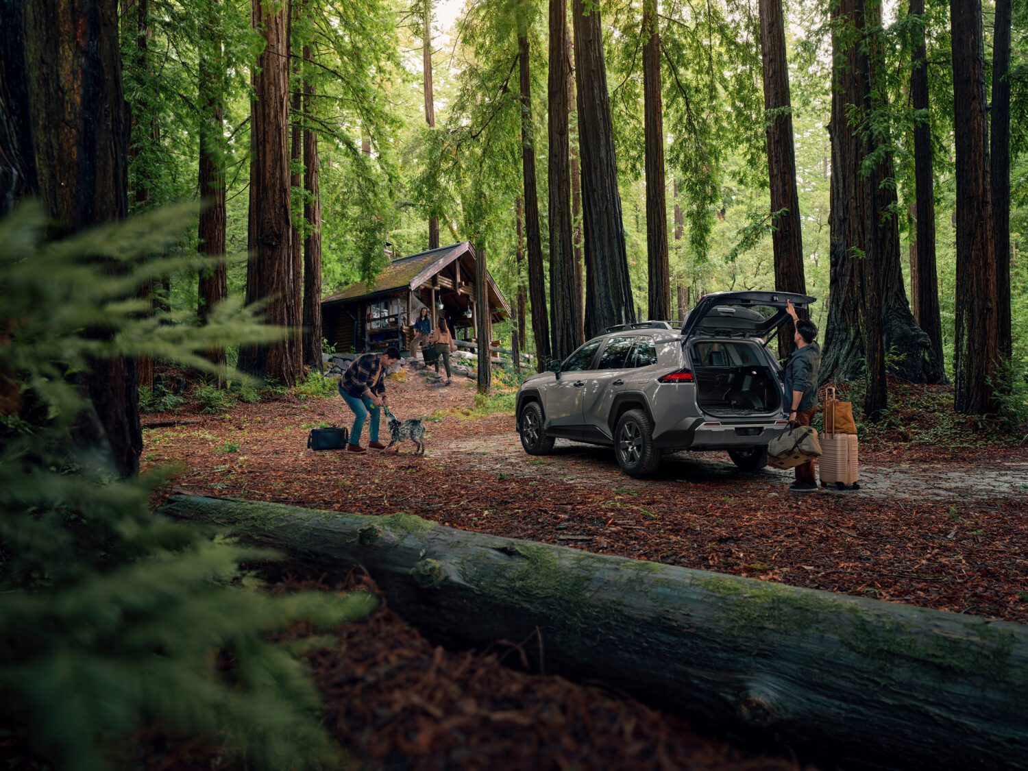 Everything We Know About the new 2026 Toyota RAV4