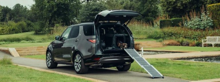 Discovery at Goodwoof 2025 - Where Luxury SUVs Go Walkies