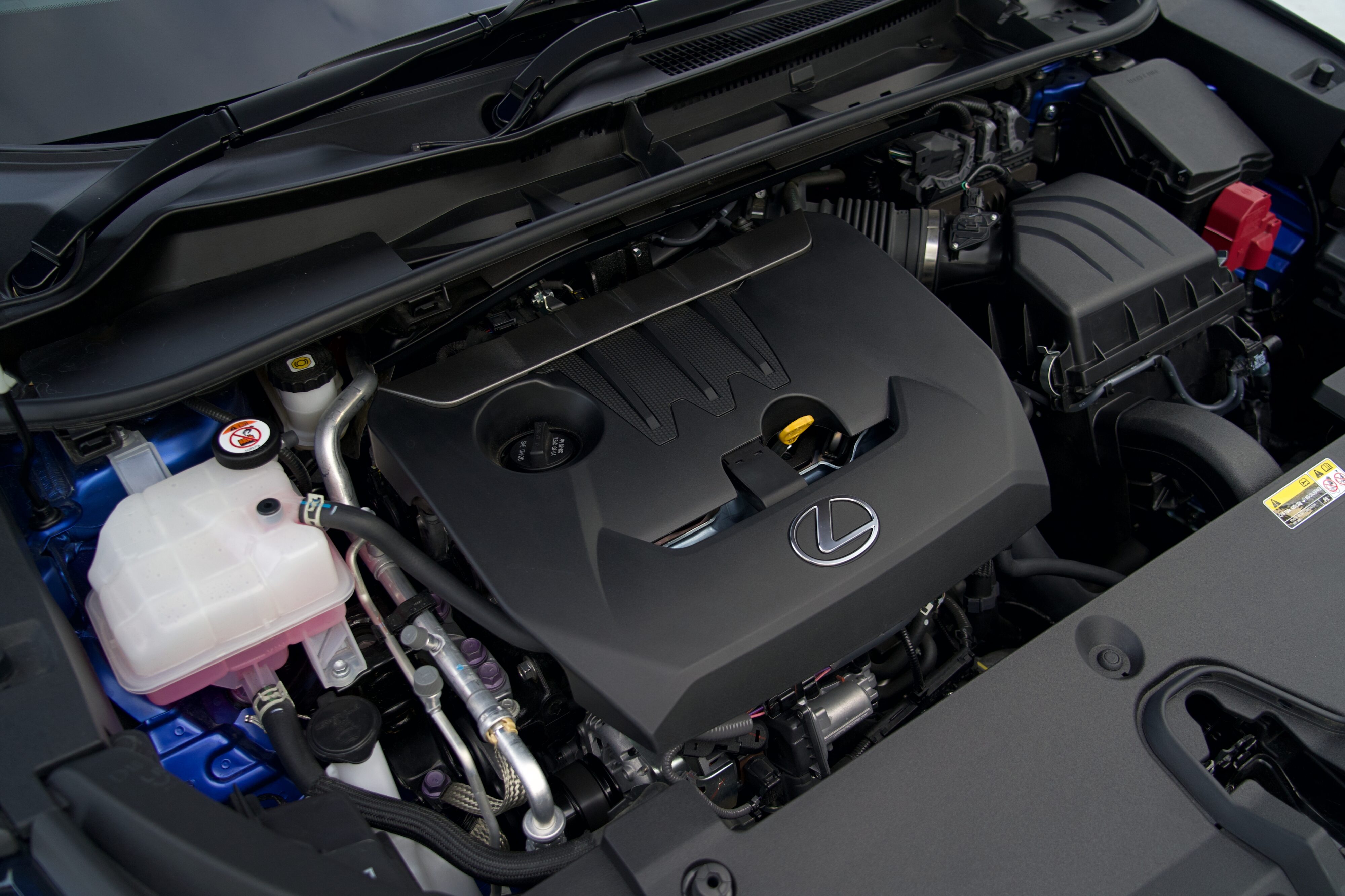 Wild, Weird, and Wonderful - Lexus LBX Morizo RR Review