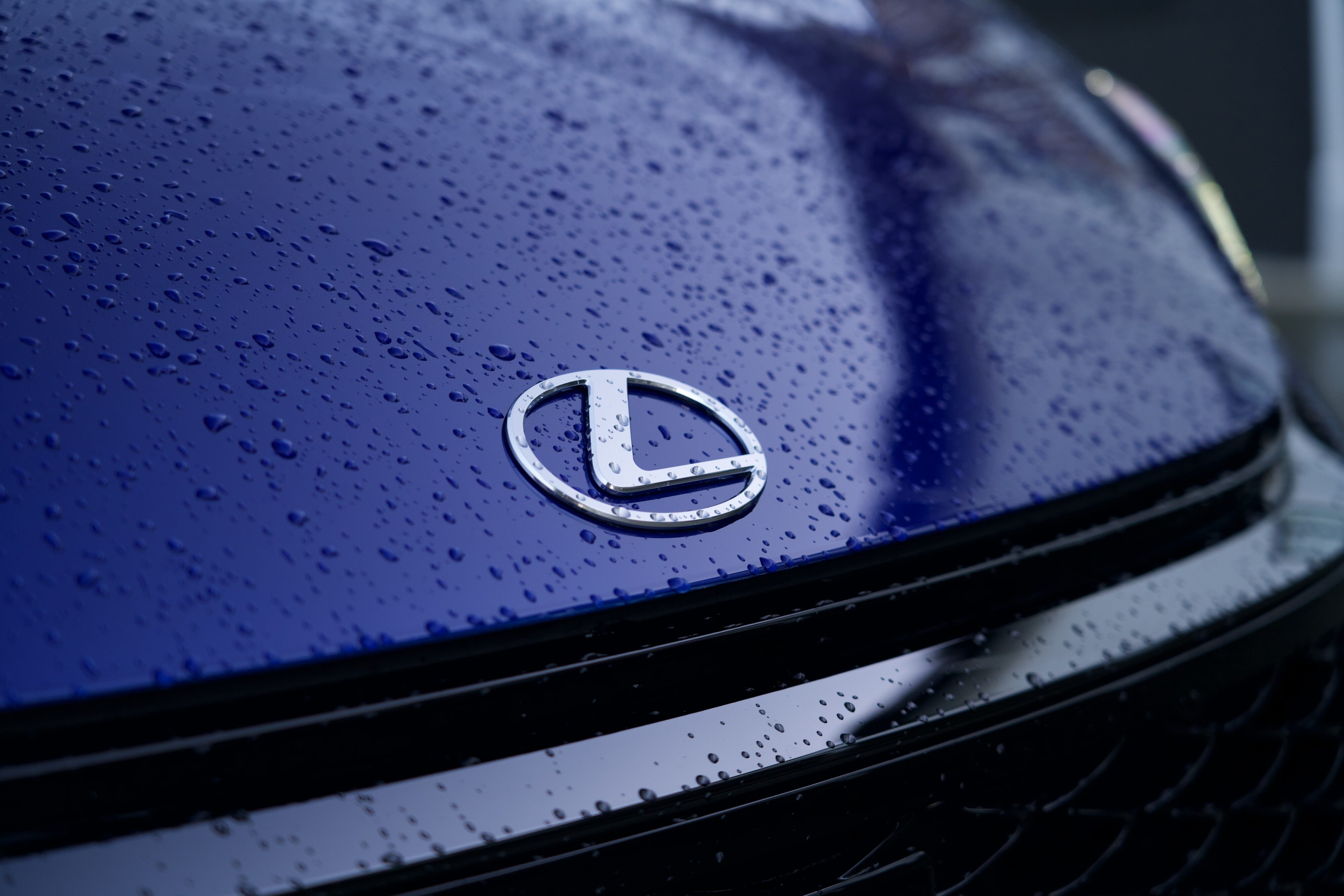 Wild, Weird, and Wonderful - Lexus LBX Morizo RR Review