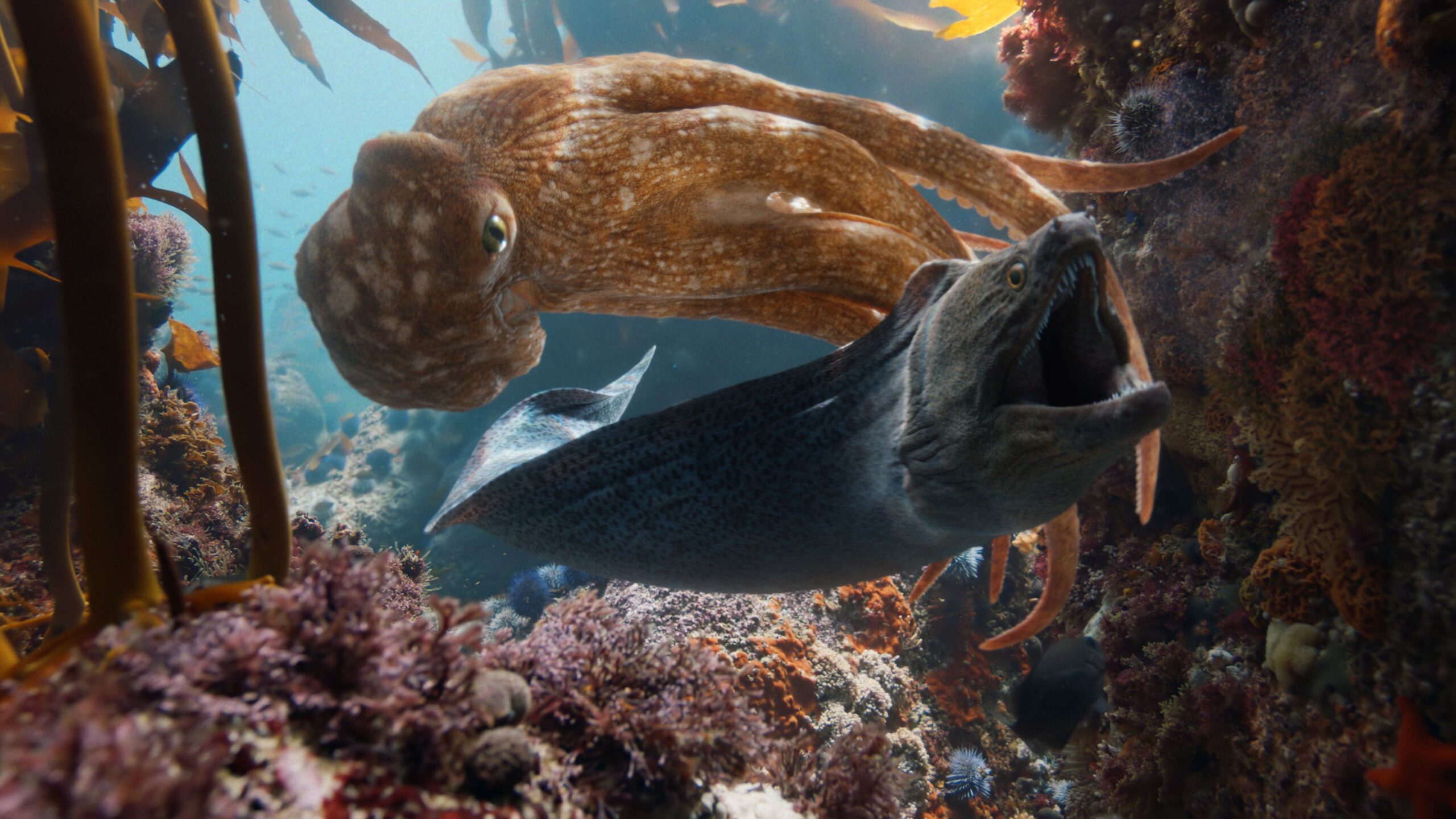 BMW's New Brain Campaign - An Eight-Armed, Waltzing Octopus
