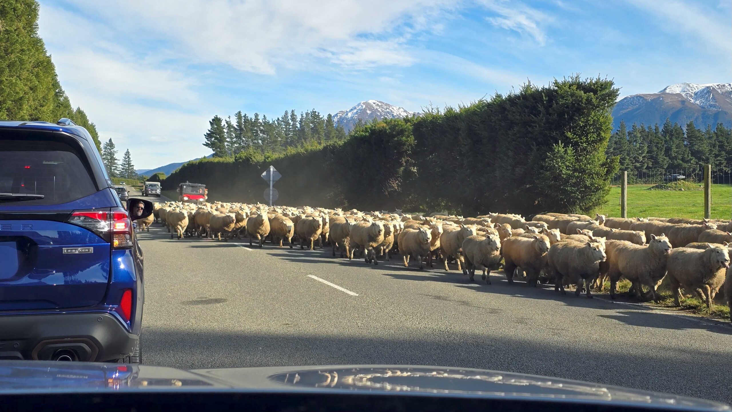 All-new 6th Gen Subaru Forester - first drive NZ