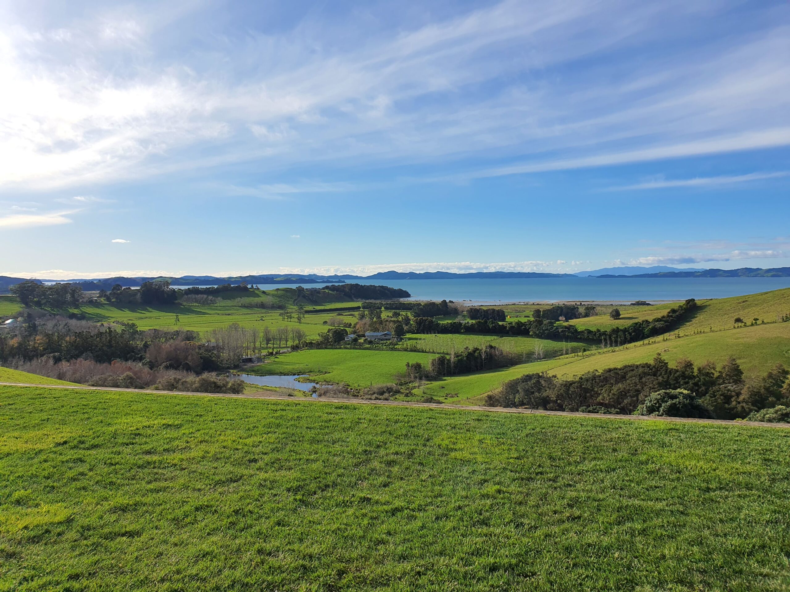 A view from the event venue at Kauri Bay, Auckland. Taken on the local launch of the 2025 Audi Q5 and SQ5.
