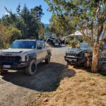 A view of many Kia Tasmans at Dirt Farm in Te Horo, Hautere in the wider Wellington region.