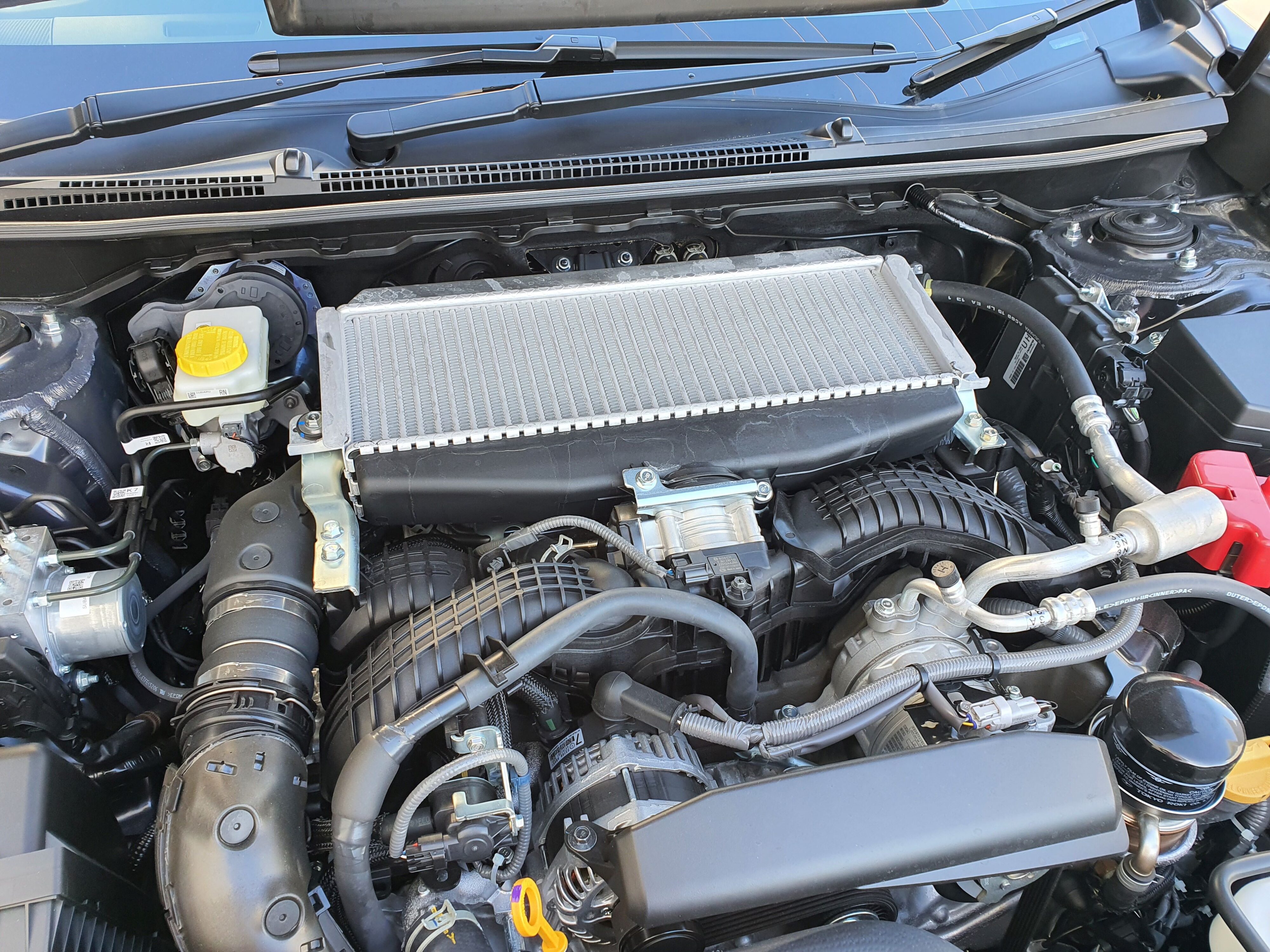 View of the 2.4 turbo four cylinder engine under the bonnet of a 2025 Subaru WRX GT tS Wagon.