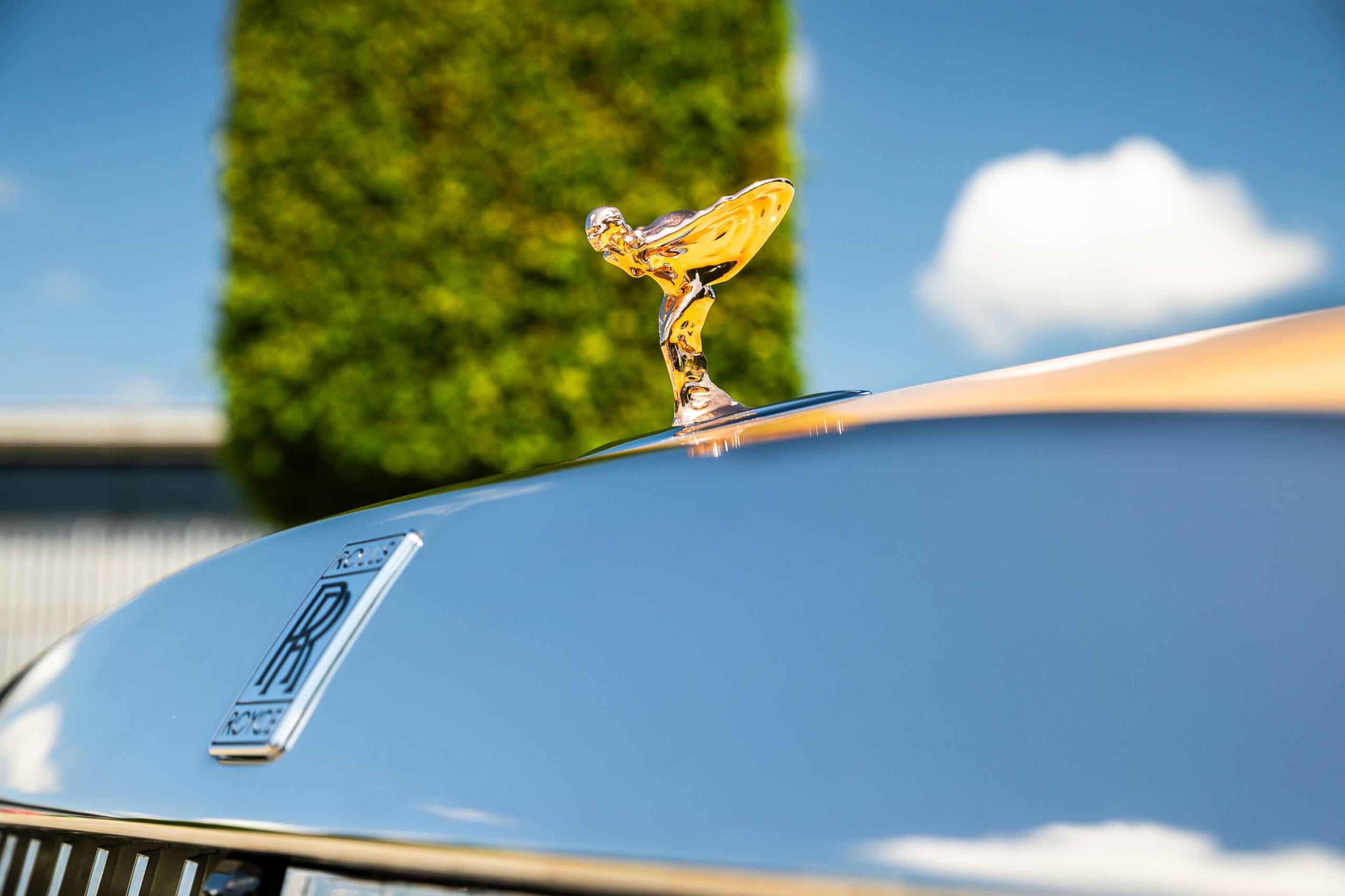 This Rolls-Royce Spectre Is The World's Most Expensive Homage To A Dog