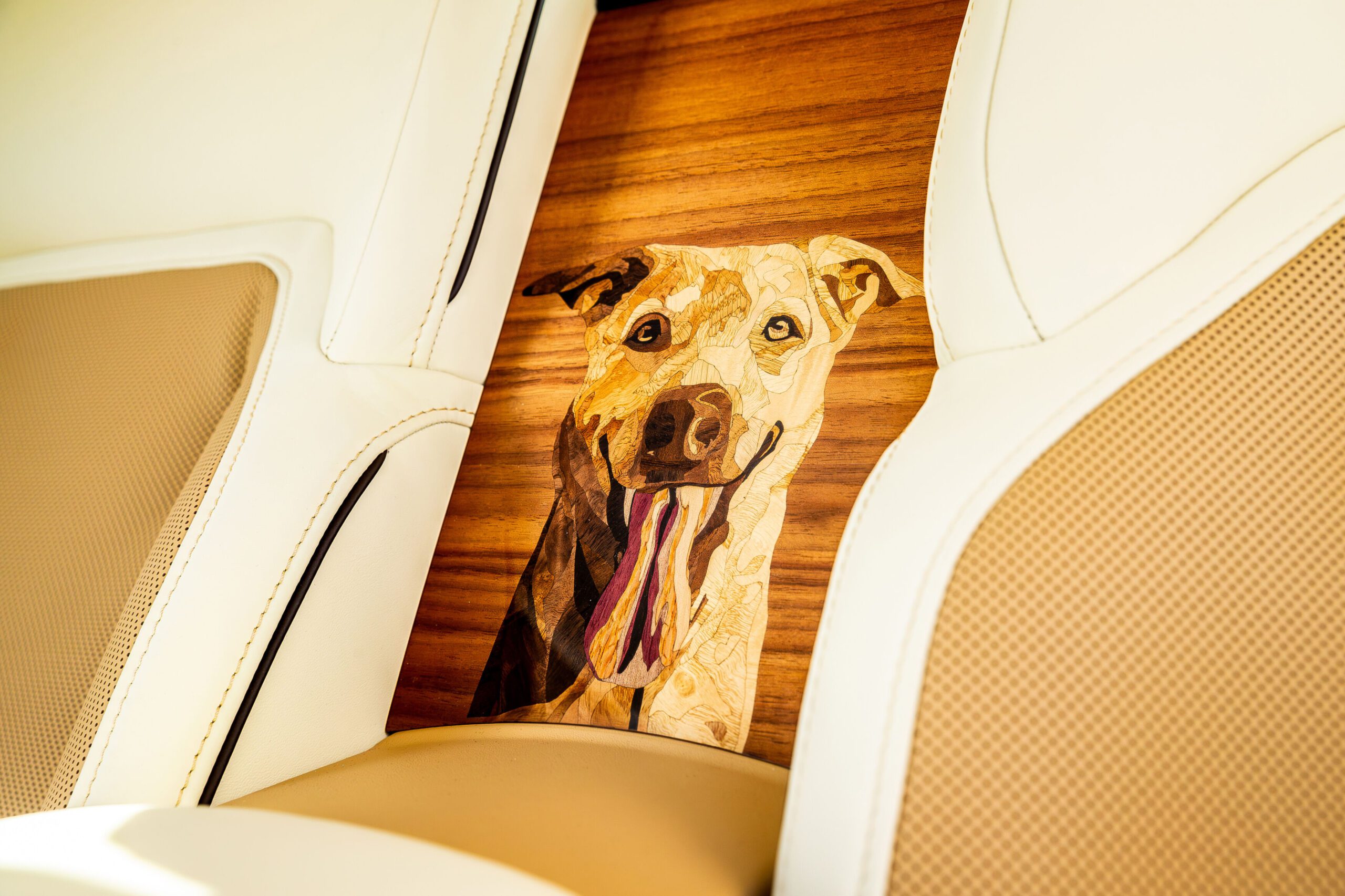 This Rolls-Royce Spectre Is The World's Most Expensive Homage To A Dog