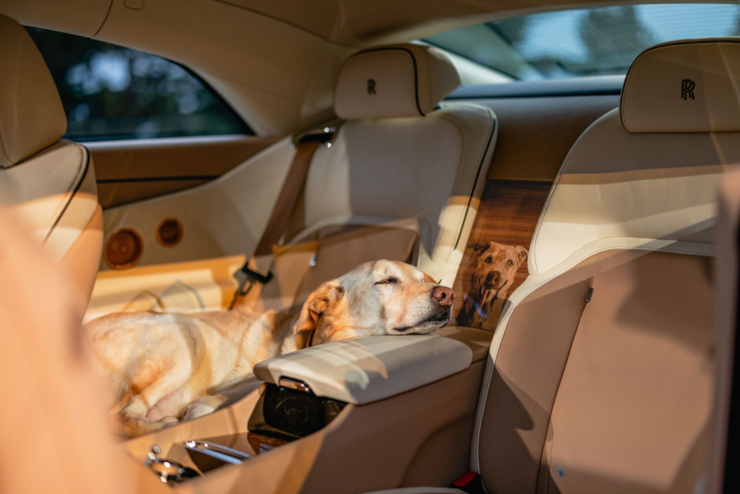 This Rolls-Royce Spectre Is The World's Most Expensive Homage To A Dog