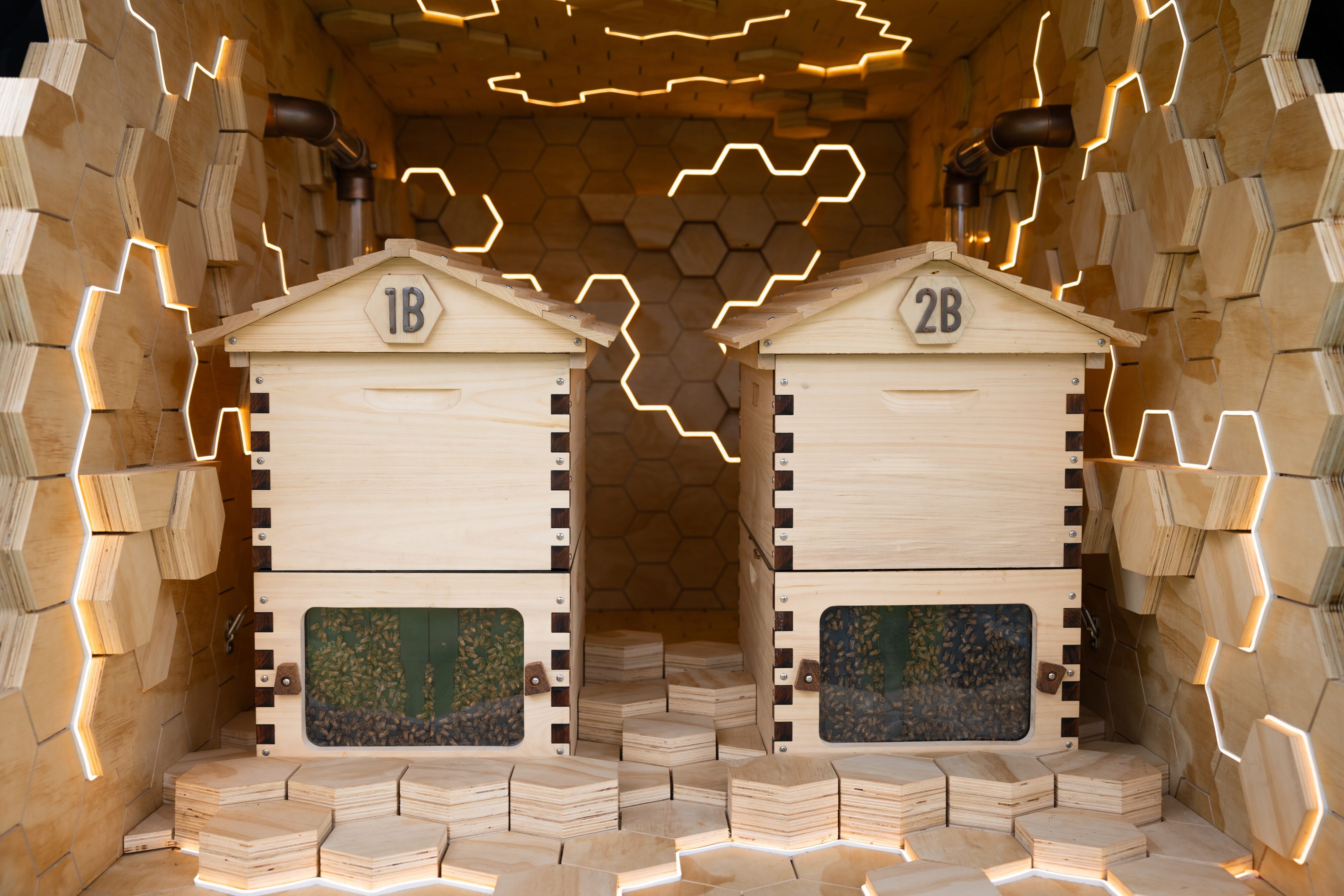 120,000 Bees Bring the Flower Power in New Zealand’s First Mobile Hive