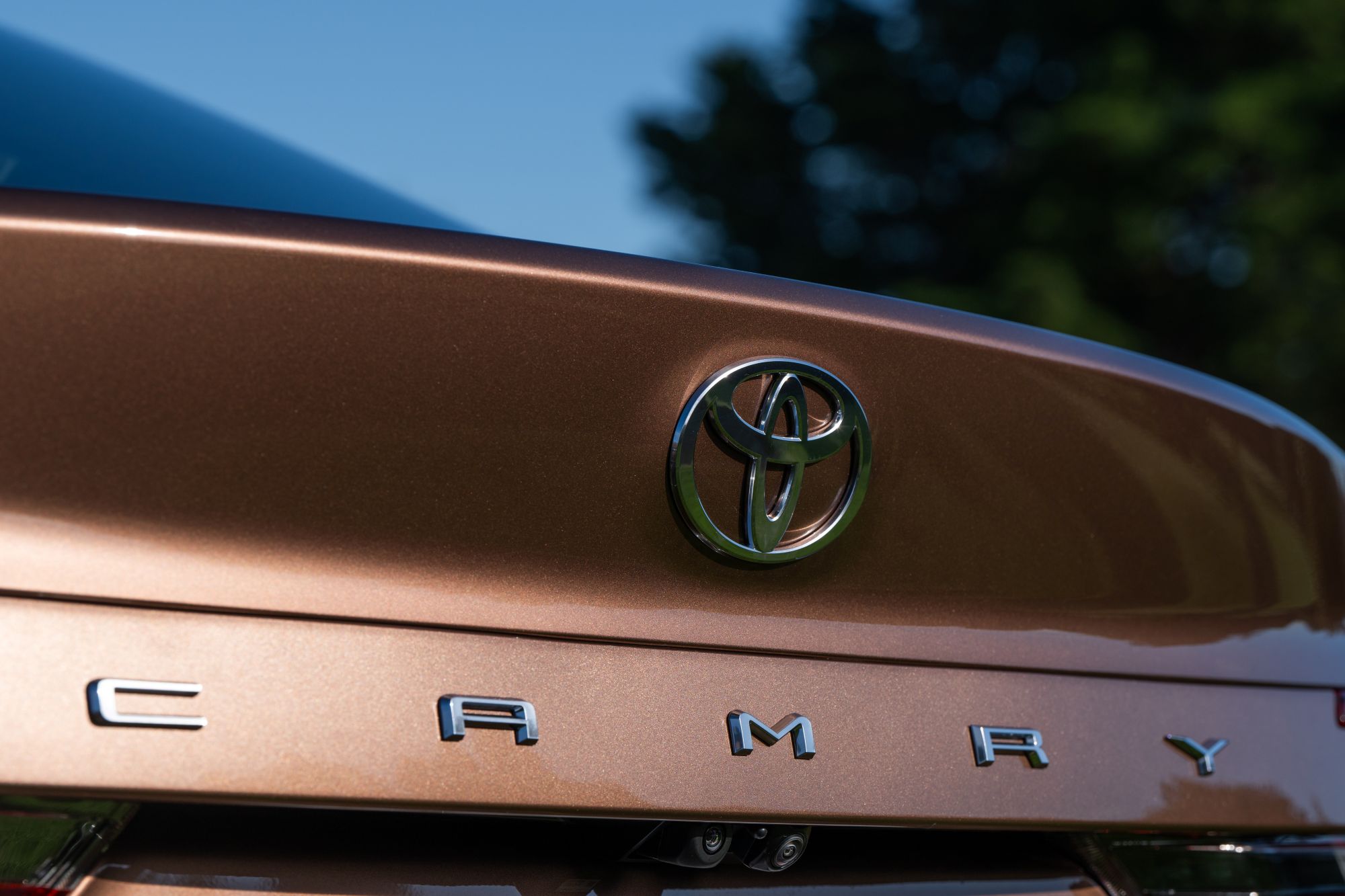 Sedan's Last Stand - Why Toyota NZ is Betting Everything on the Camry ZR
