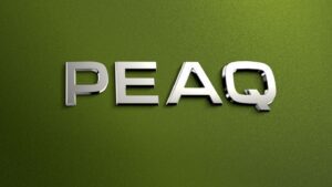 A photo of the 'Peaq' badge on the rear of a Skoda Peaq.