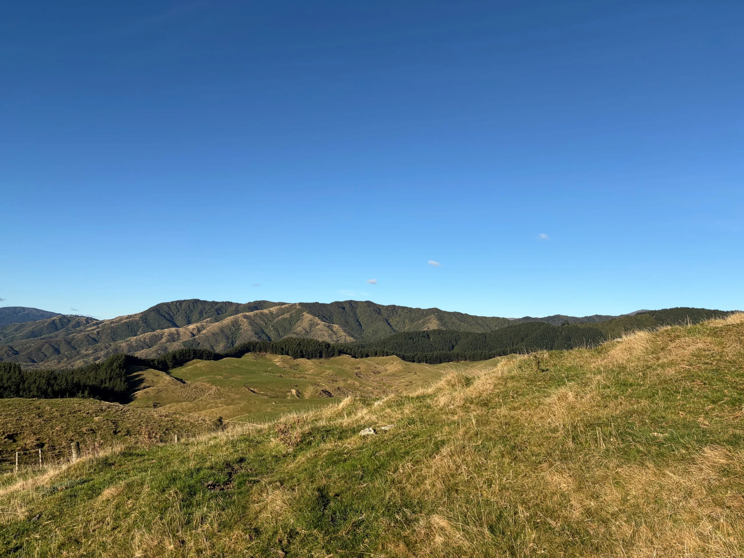 View from the top of Heights Experience farm in the Manawatu region of New Zealand.