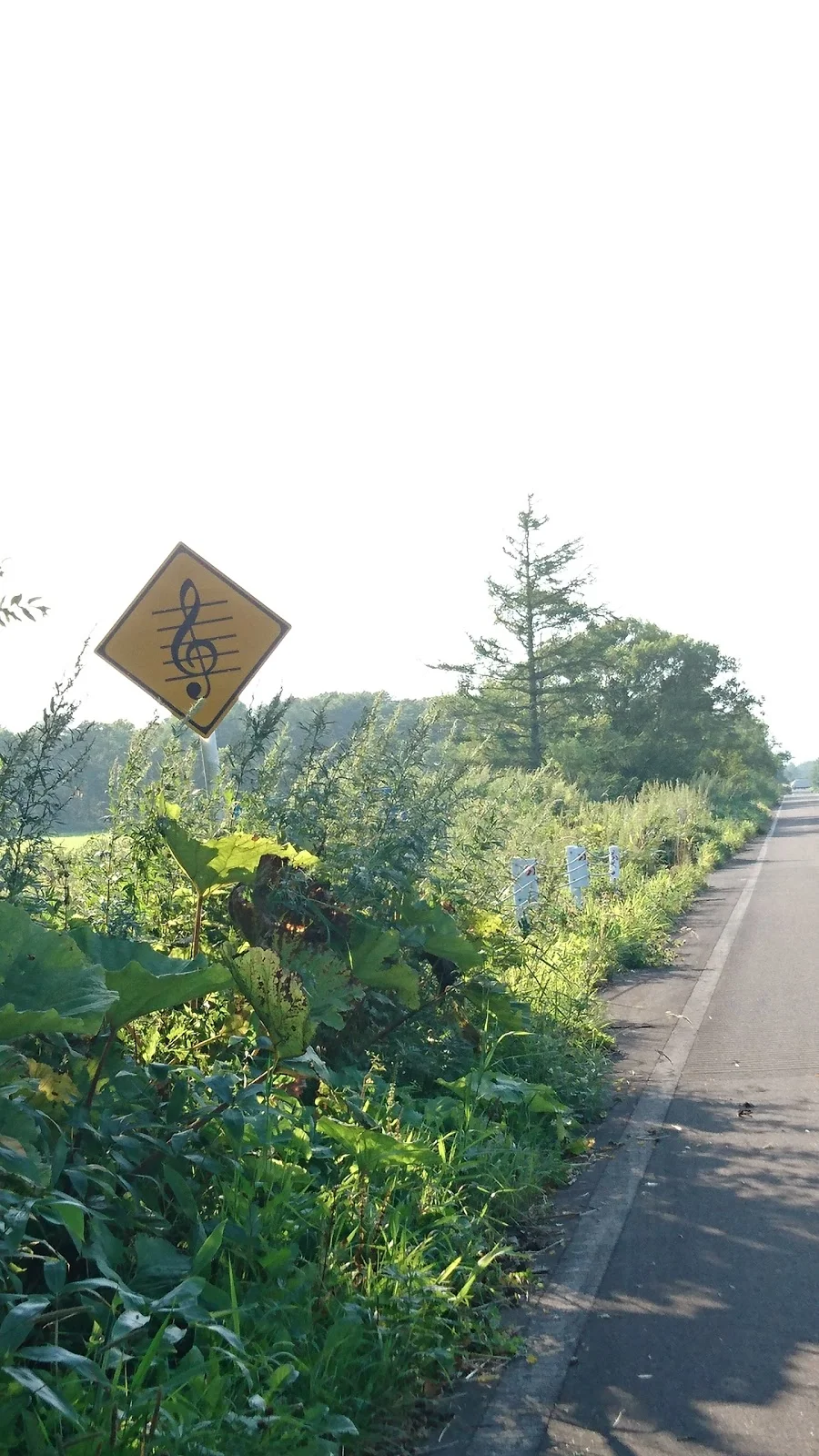 Melody Road

Shibetsu, Hokkaido, Japan