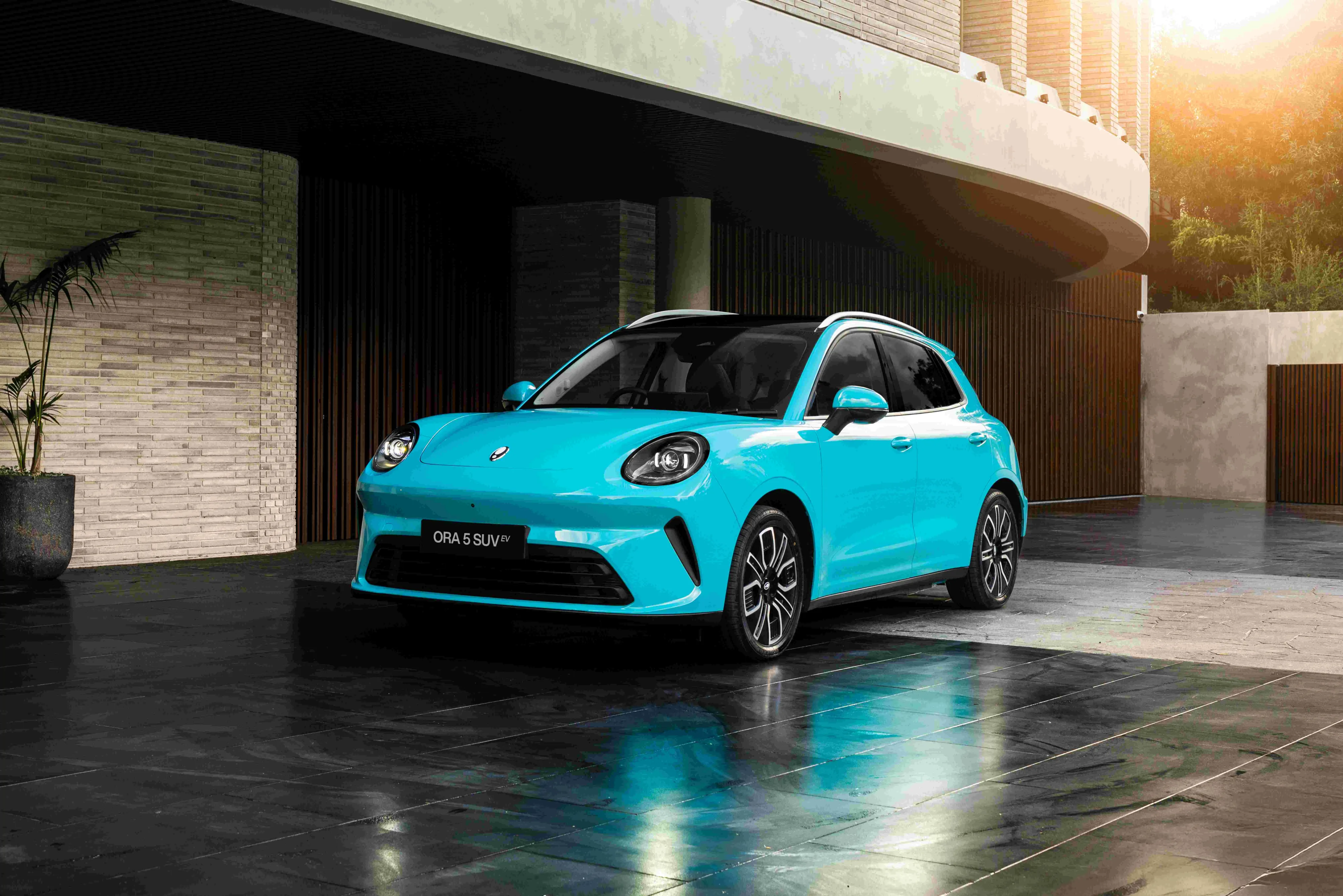 GWM New Zealand Smashes Sales Records with 42% Growth – Here's What's Driving the Boom