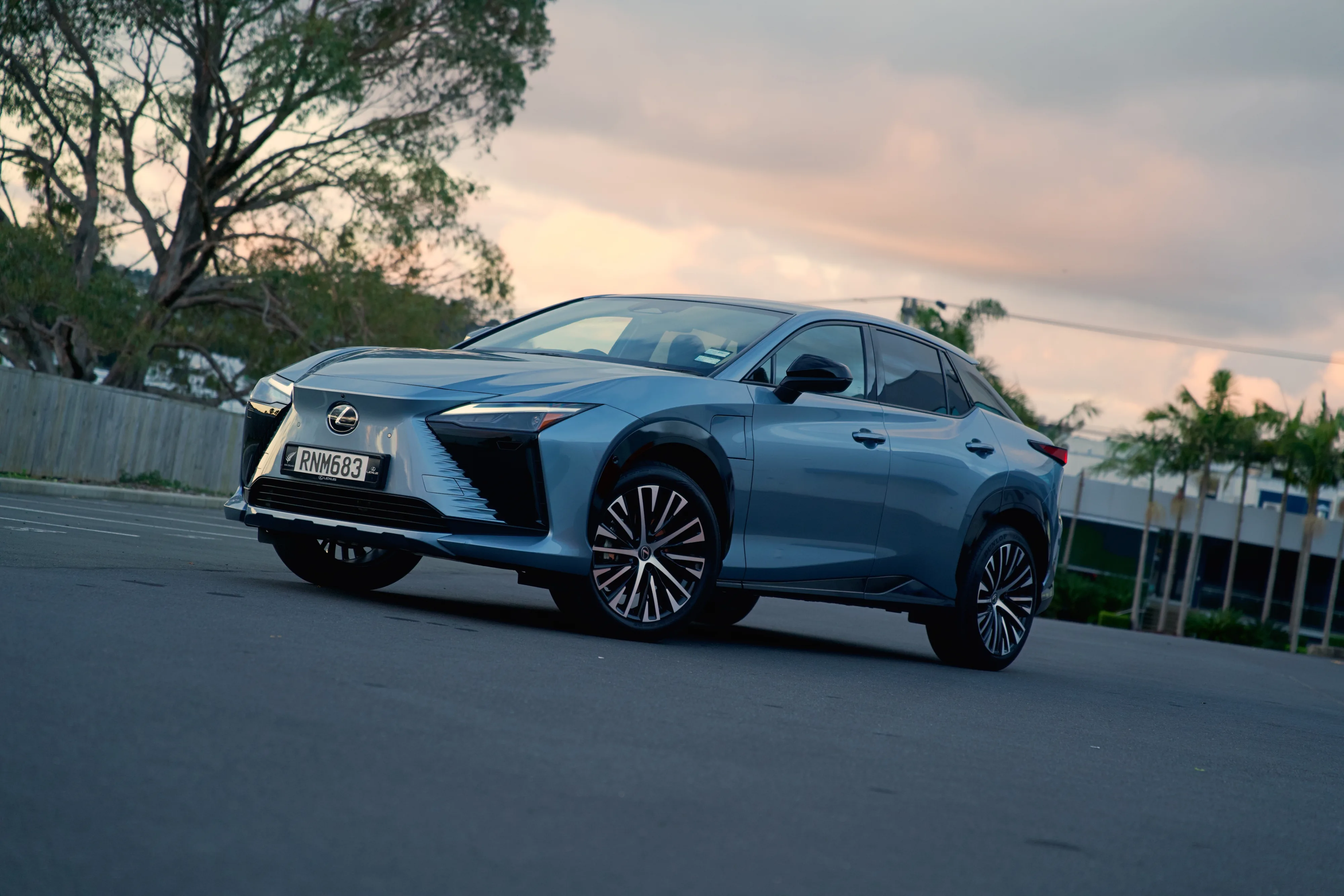 The EV Dillema - Lexus RZ500e and RZ550e F Sport Review