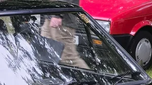 Cardle of the Day — Monday's Puzzle Took Five Clues to Crack a True Hot Hatch Icon