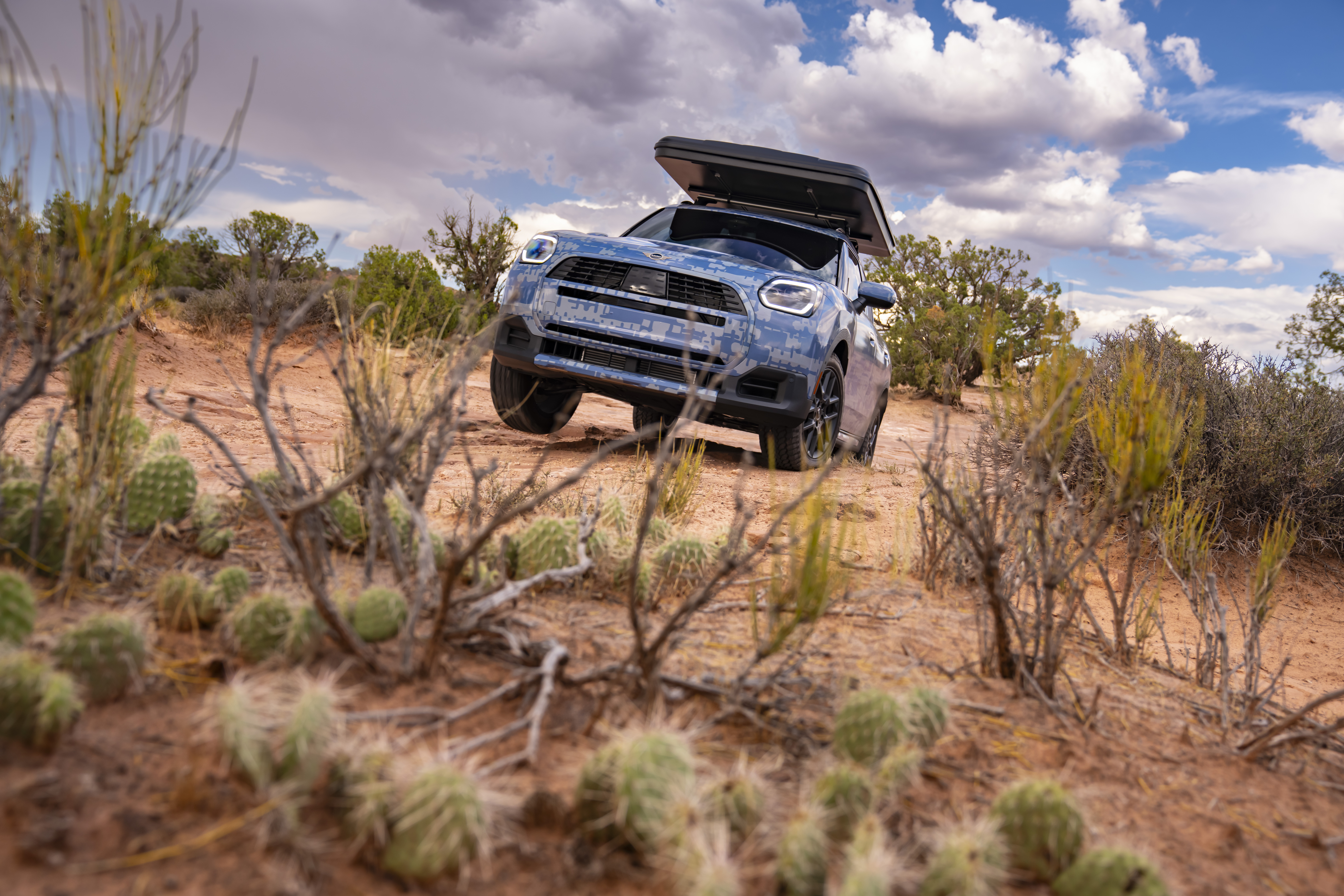 MINI to Make Rebelle Rally Debut
