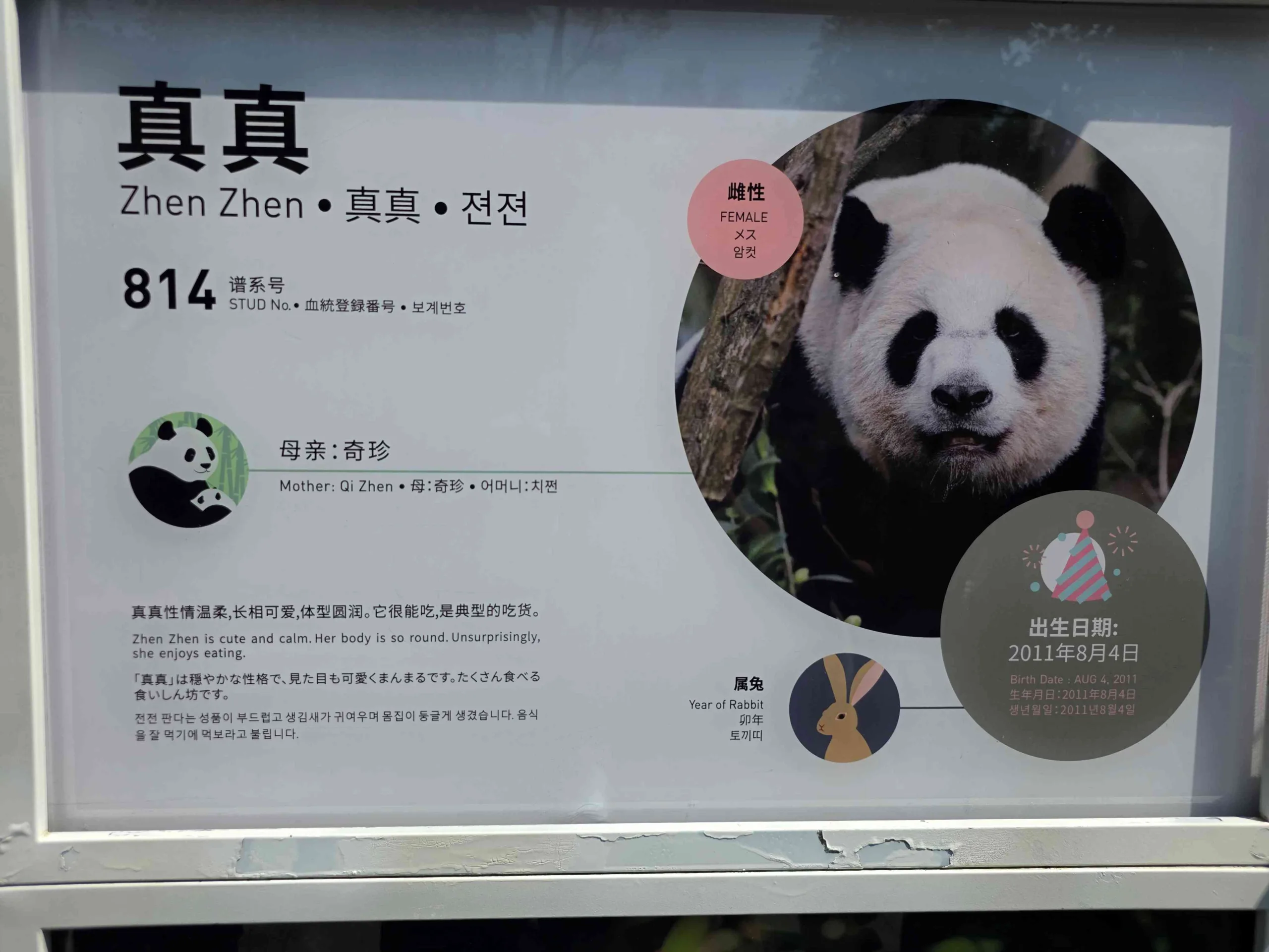 Join And Cherish – 2026 JAC DAY(S)