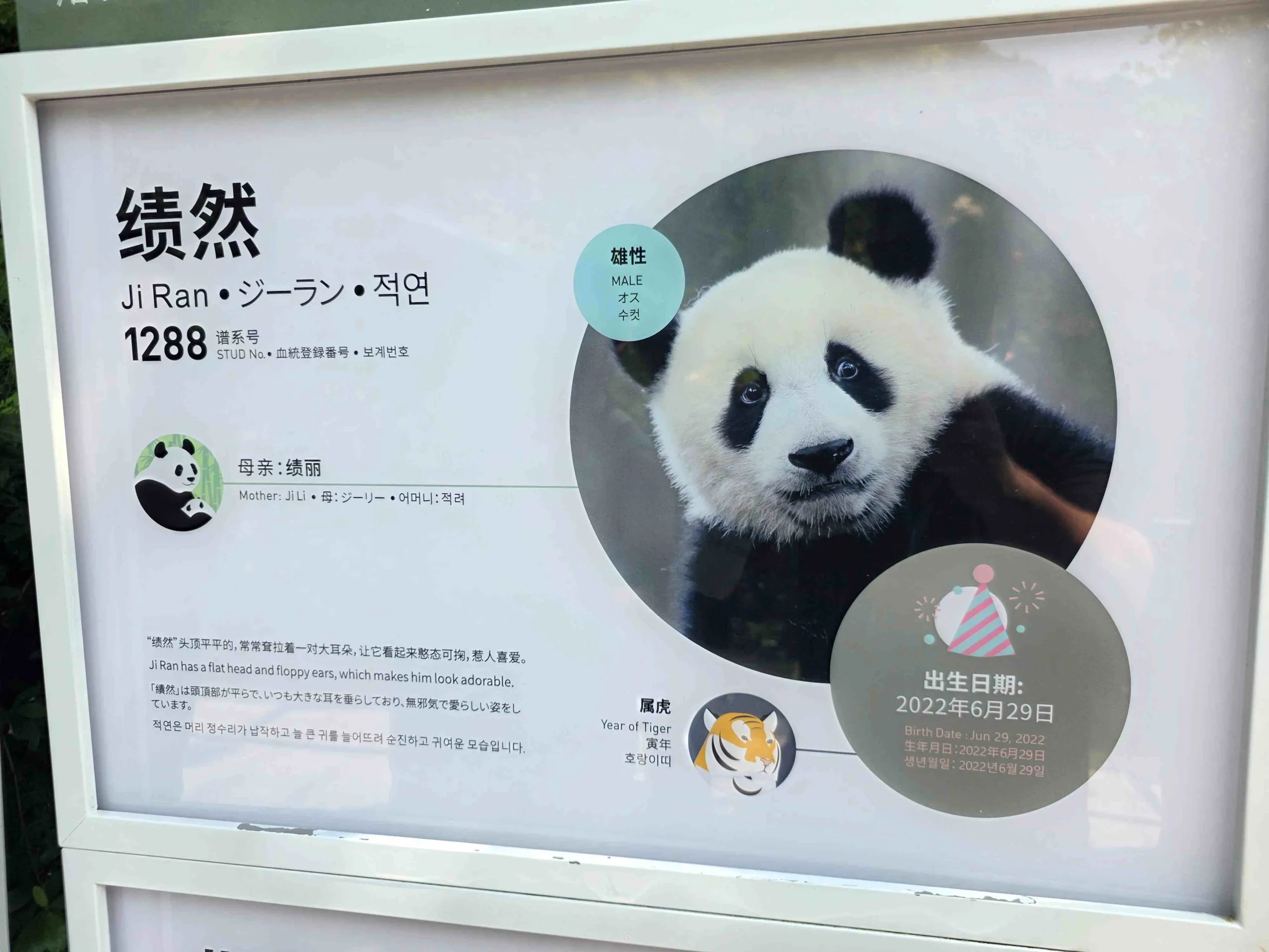 Join And Cherish – 2026 JAC DAY(S)
