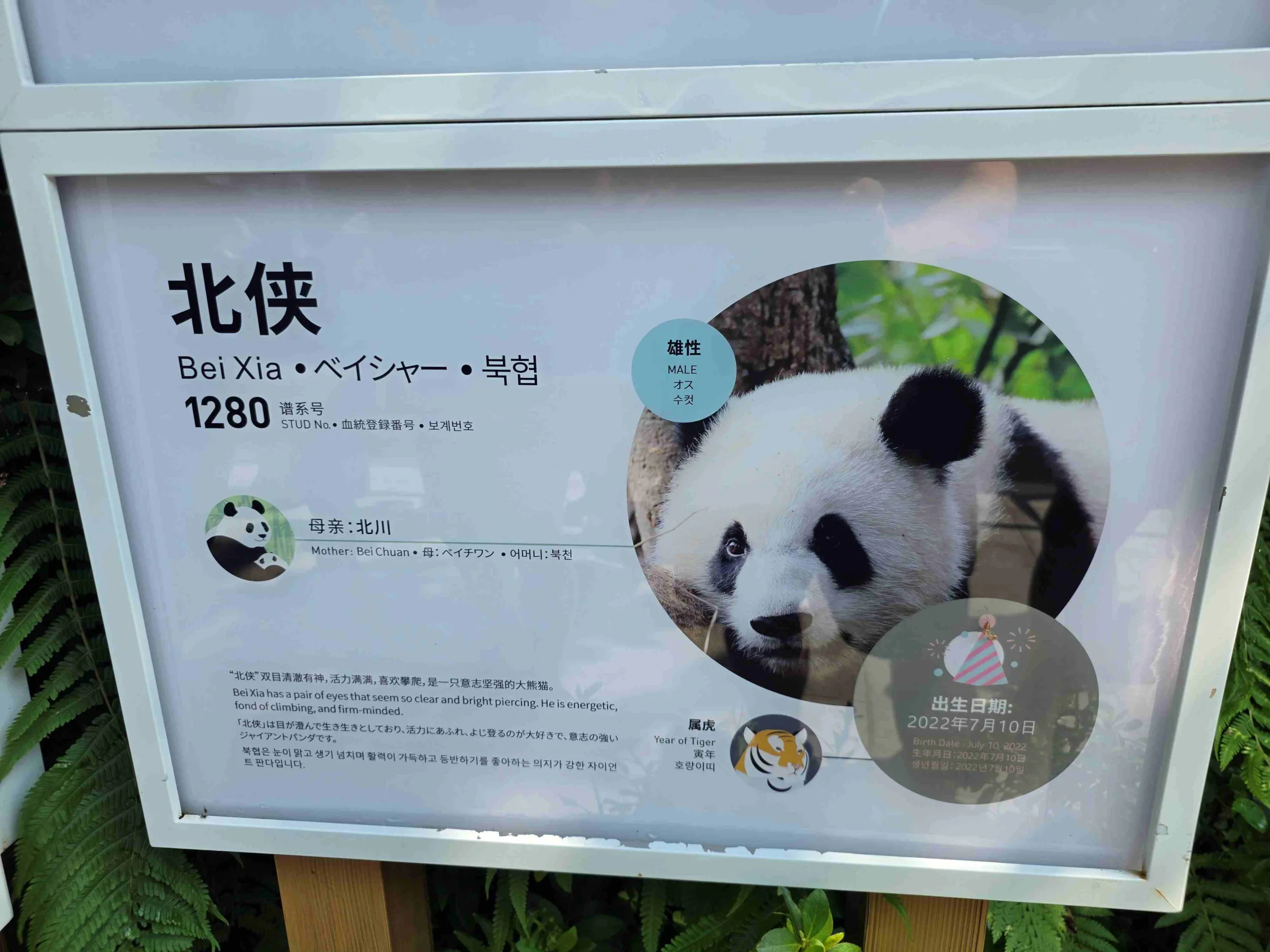 Join And Cherish – 2026 JAC DAY(S)