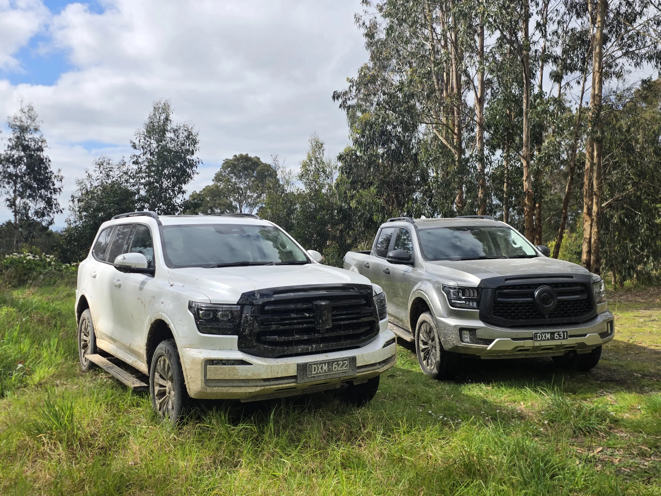 How Refinement and a Product Blitz Are Driving GMW NZ’s Top-Tier Strategy